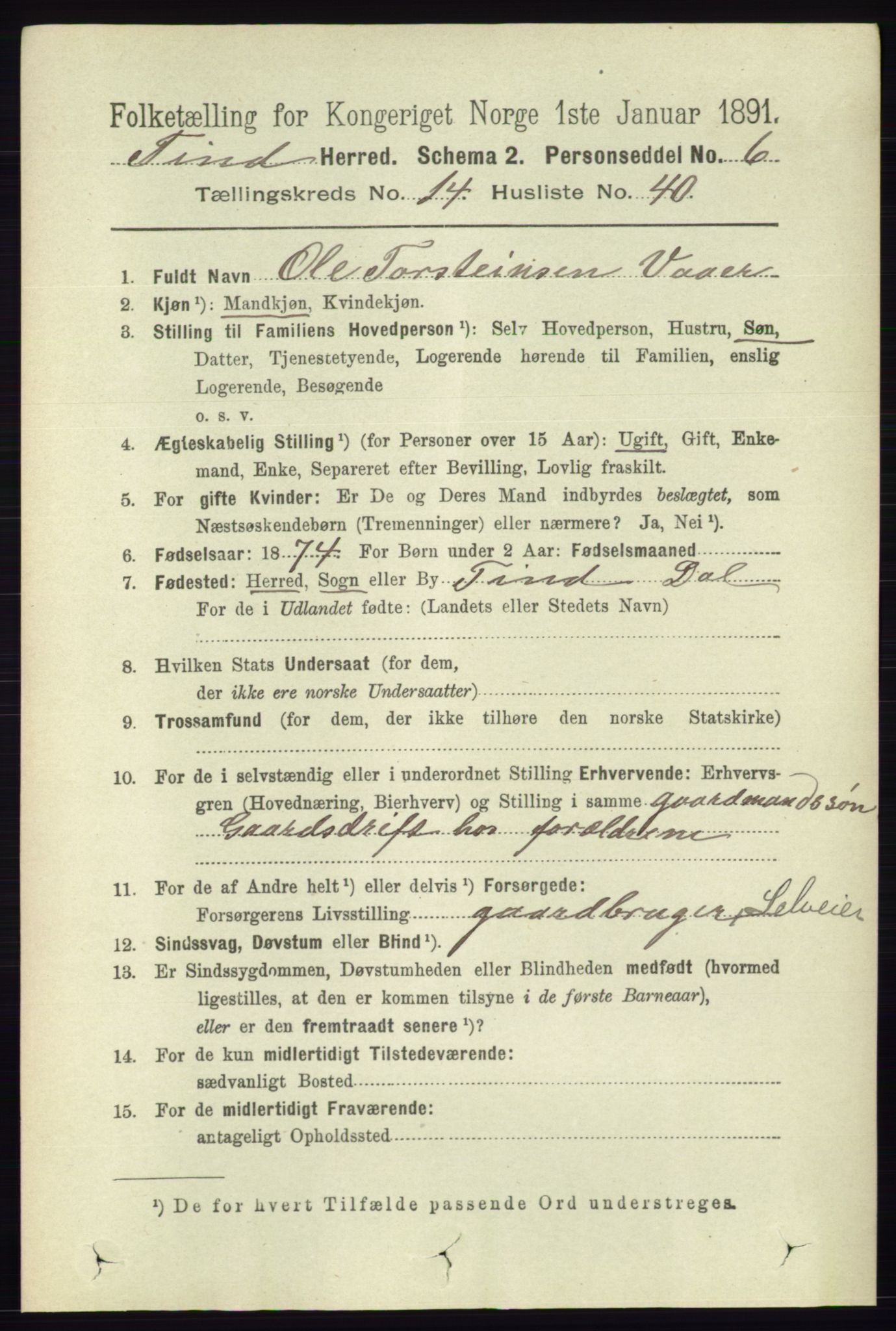 RA, 1891 census for 0826 Tinn, 1891, p. 3068