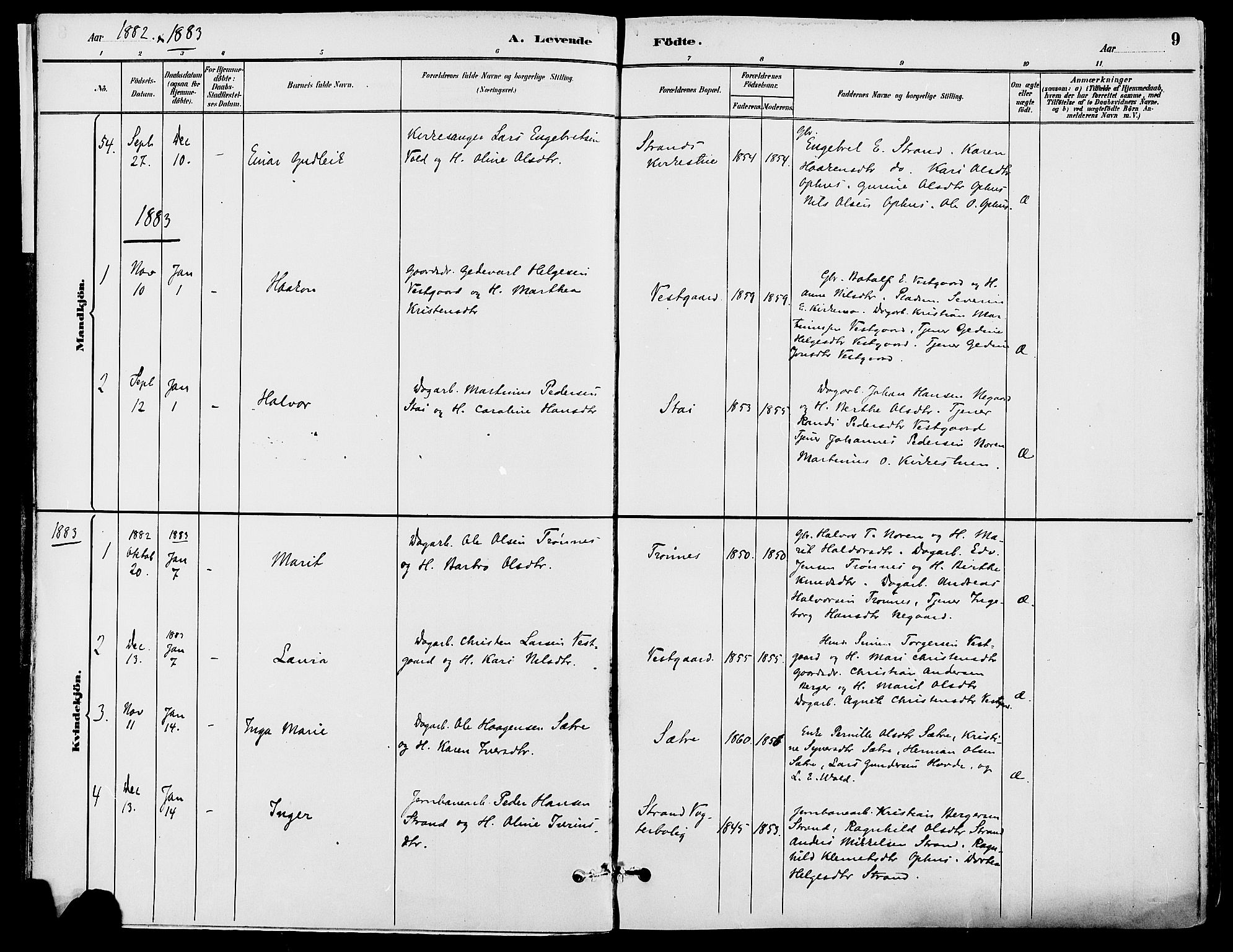 Stor-Elvdal prestekontor, SAH/PREST-052/H/Ha/Haa/L0002: Parish register (official) no. 2, 1882-1907, p. 9