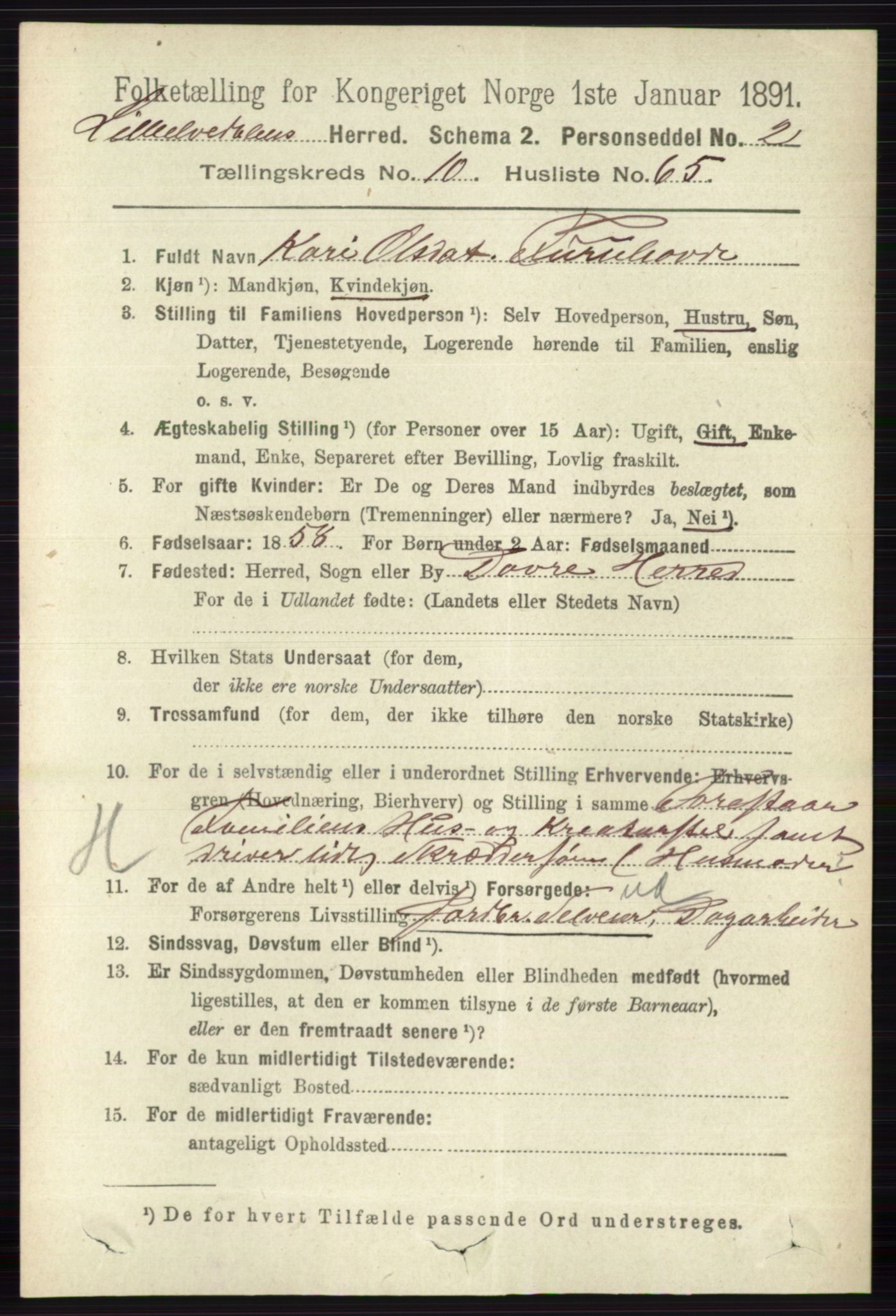 RA, 1891 census for 0438 Lille Elvedalen, 1891, p. 3768