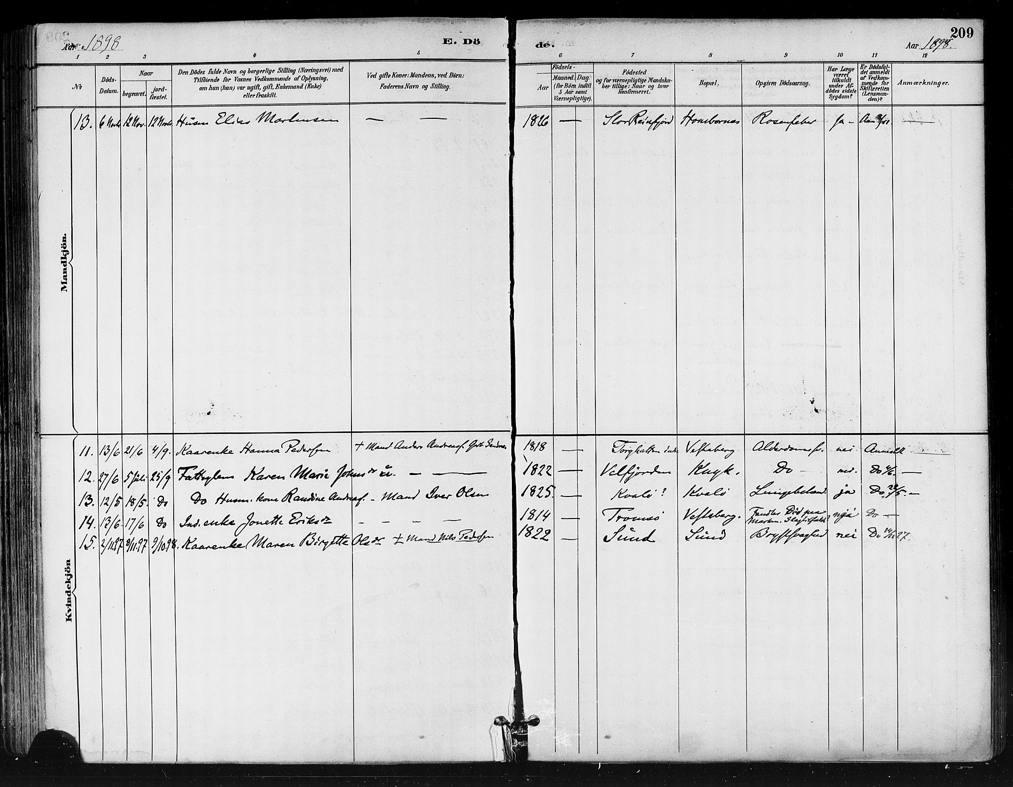 Ministerialprotokoller, klokkerbøker og fødselsregistre - Nordland, AV/SAT-A-1459/812/L0178: Parish register (official) no. 812A07, 1886-1900, p. 209