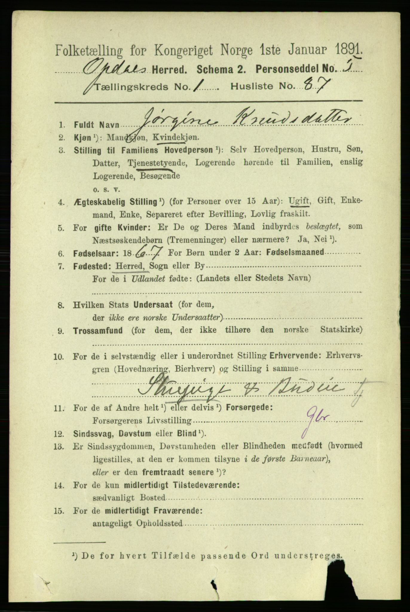 RA, 1891 census for 1634 Oppdal, 1891, p. 650