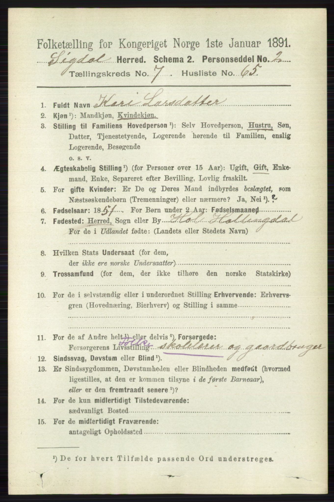 RA, 1891 census for 0621 Sigdal, 1891, p. 3091