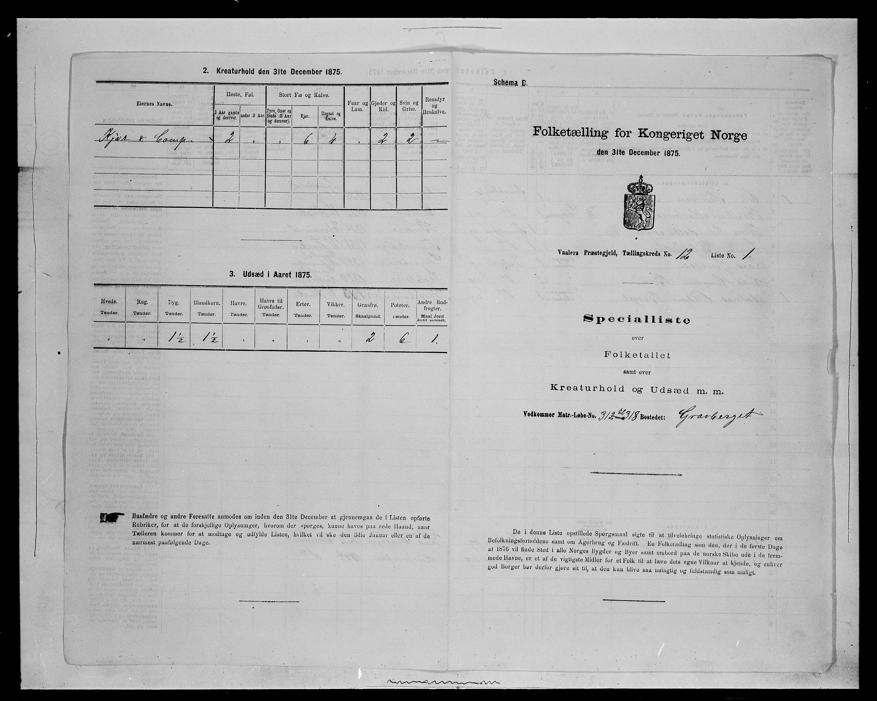 SAH, 1875 census for 0426P Våler parish (Hedmark), 1875, p. 1365