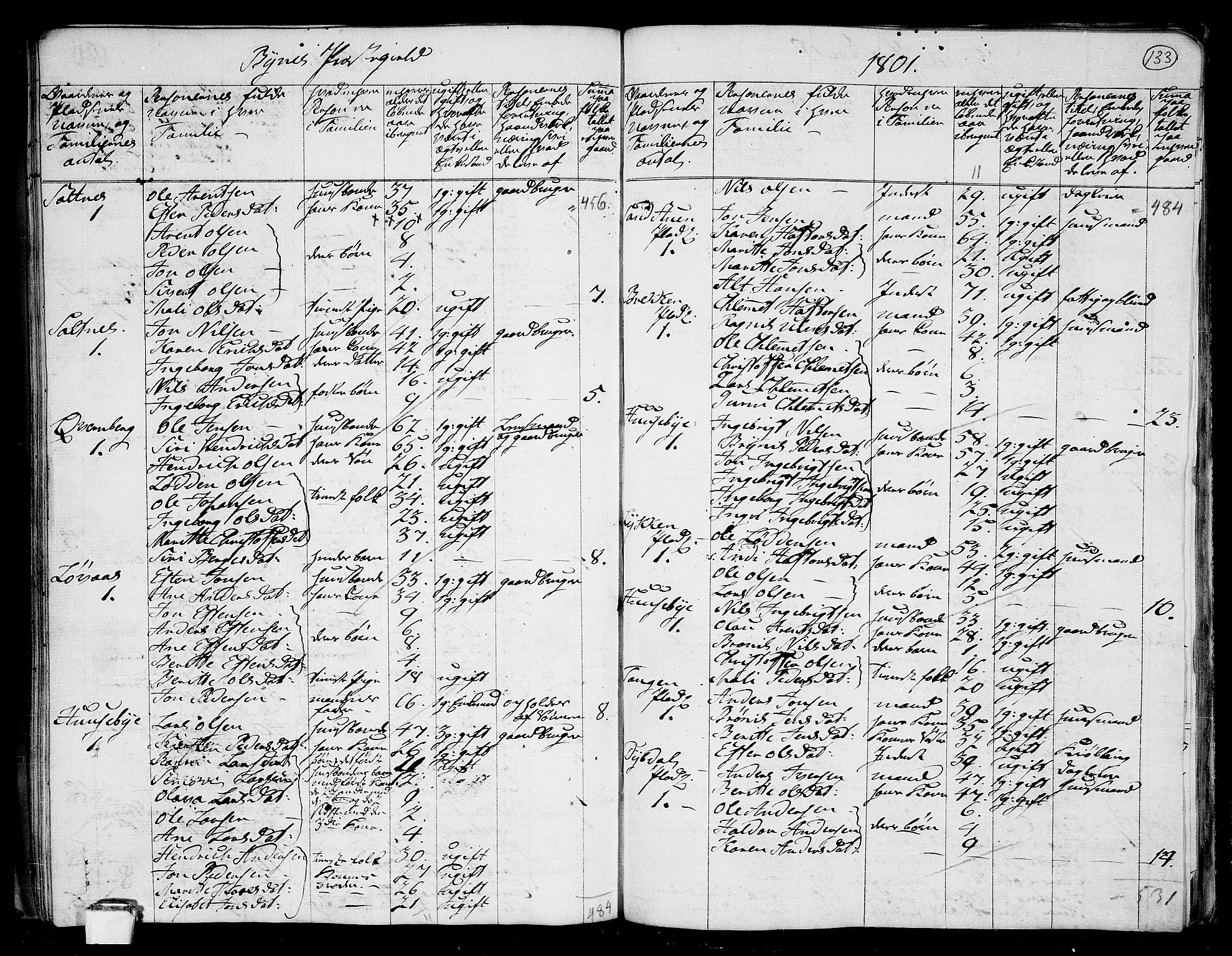 RA, 1801 census for 1655P Byneset, 1801, p. 132b-133a