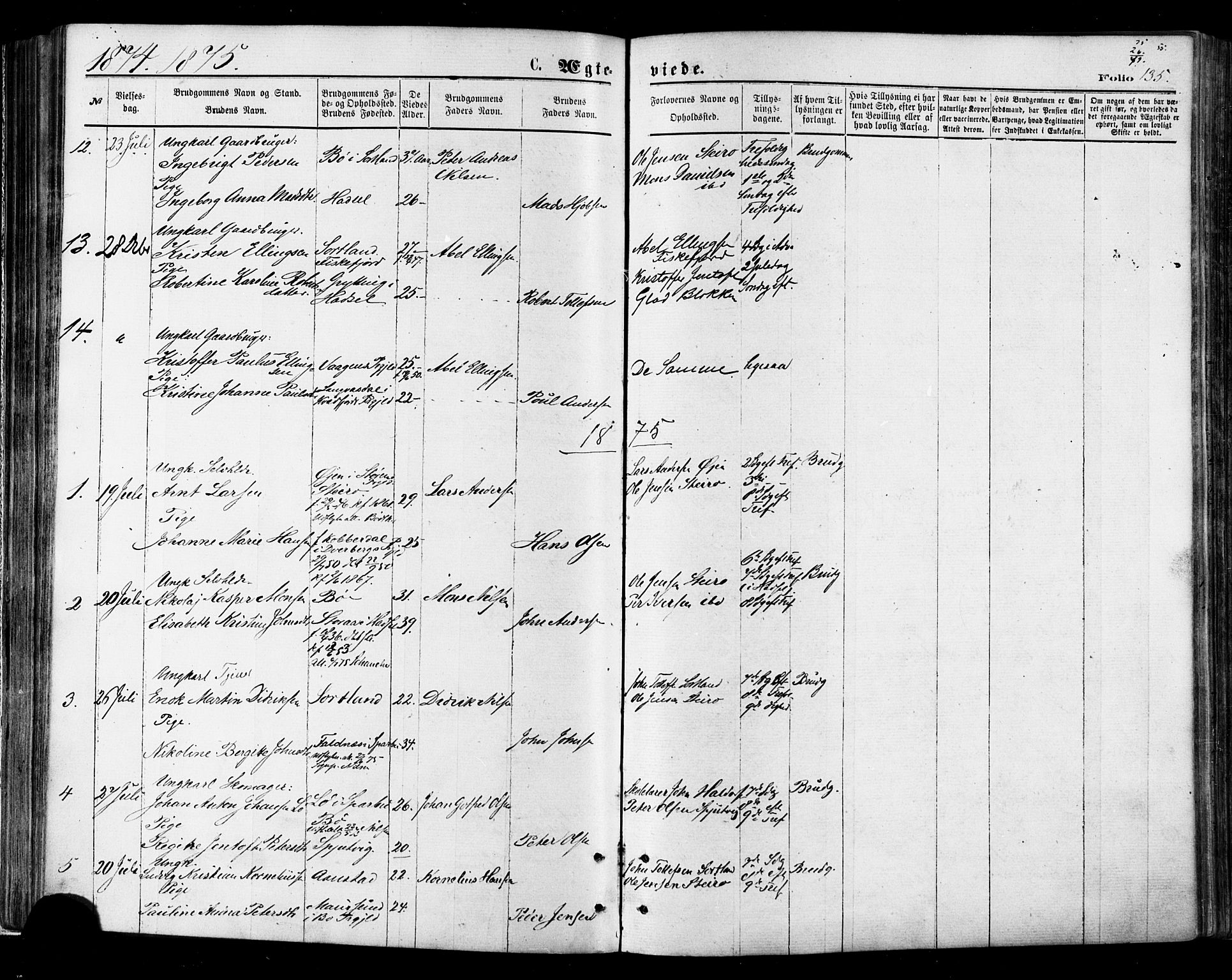 Ministerialprotokoller, klokkerbøker og fødselsregistre - Nordland, AV/SAT-A-1459/895/L1370: Parish register (official) no. 895A05, 1873-1884, p. 135