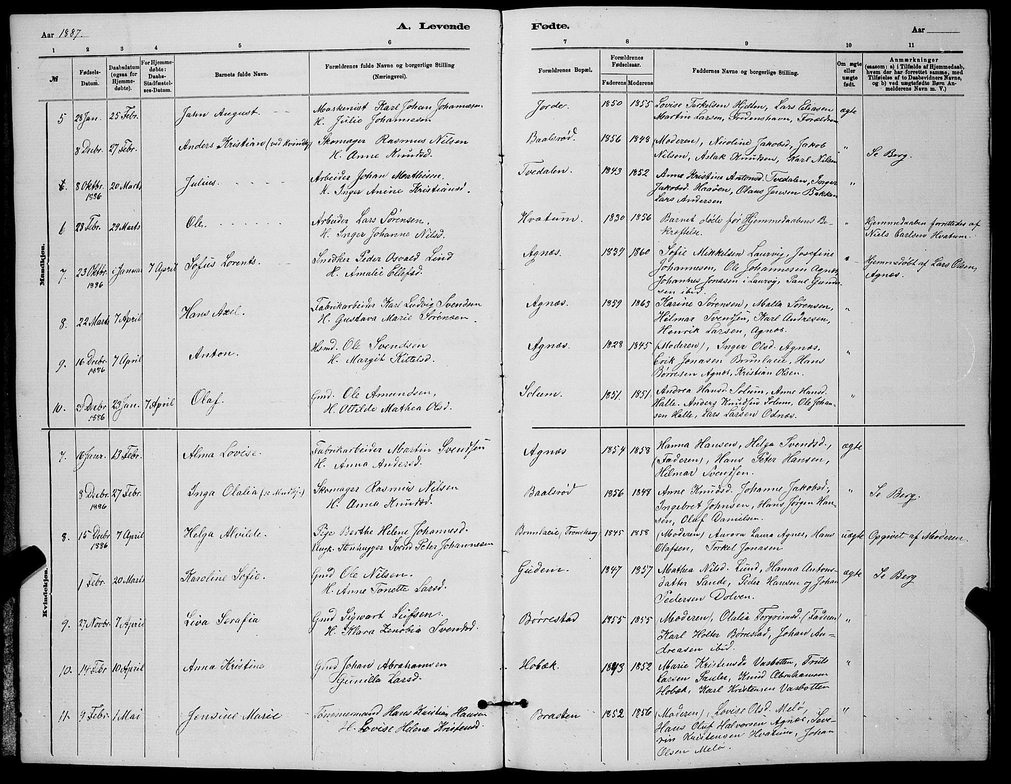 Brunlanes kirkebøker, AV/SAKO-A-342/G/Ga/L0003: Parish register (copy) no. I 3, 1877-1898