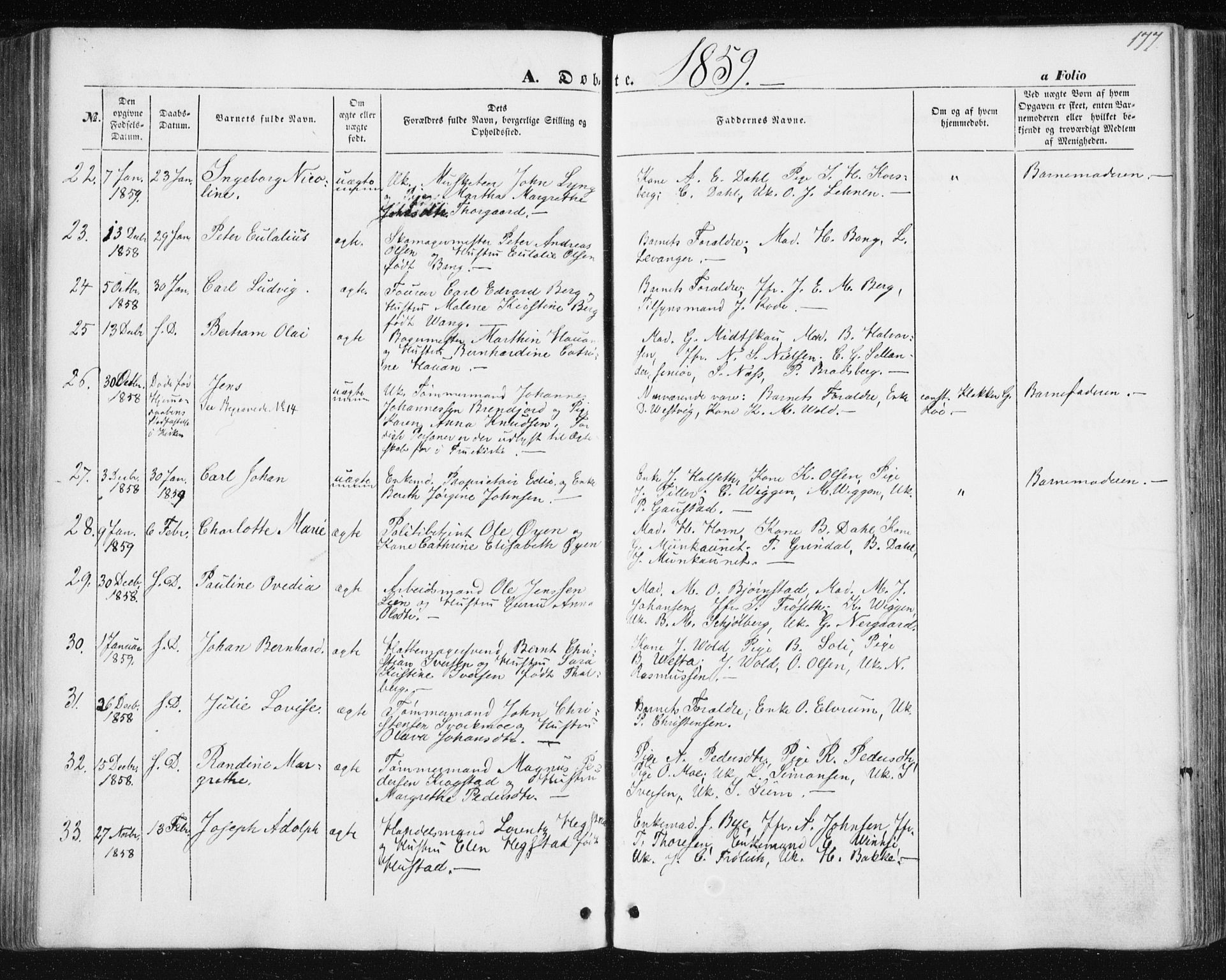 Ministerialprotokoller, klokkerbøker og fødselsregistre - Sør-Trøndelag, AV/SAT-A-1456/602/L0112: Parish register (official) no. 602A10, 1848-1859, p. 177