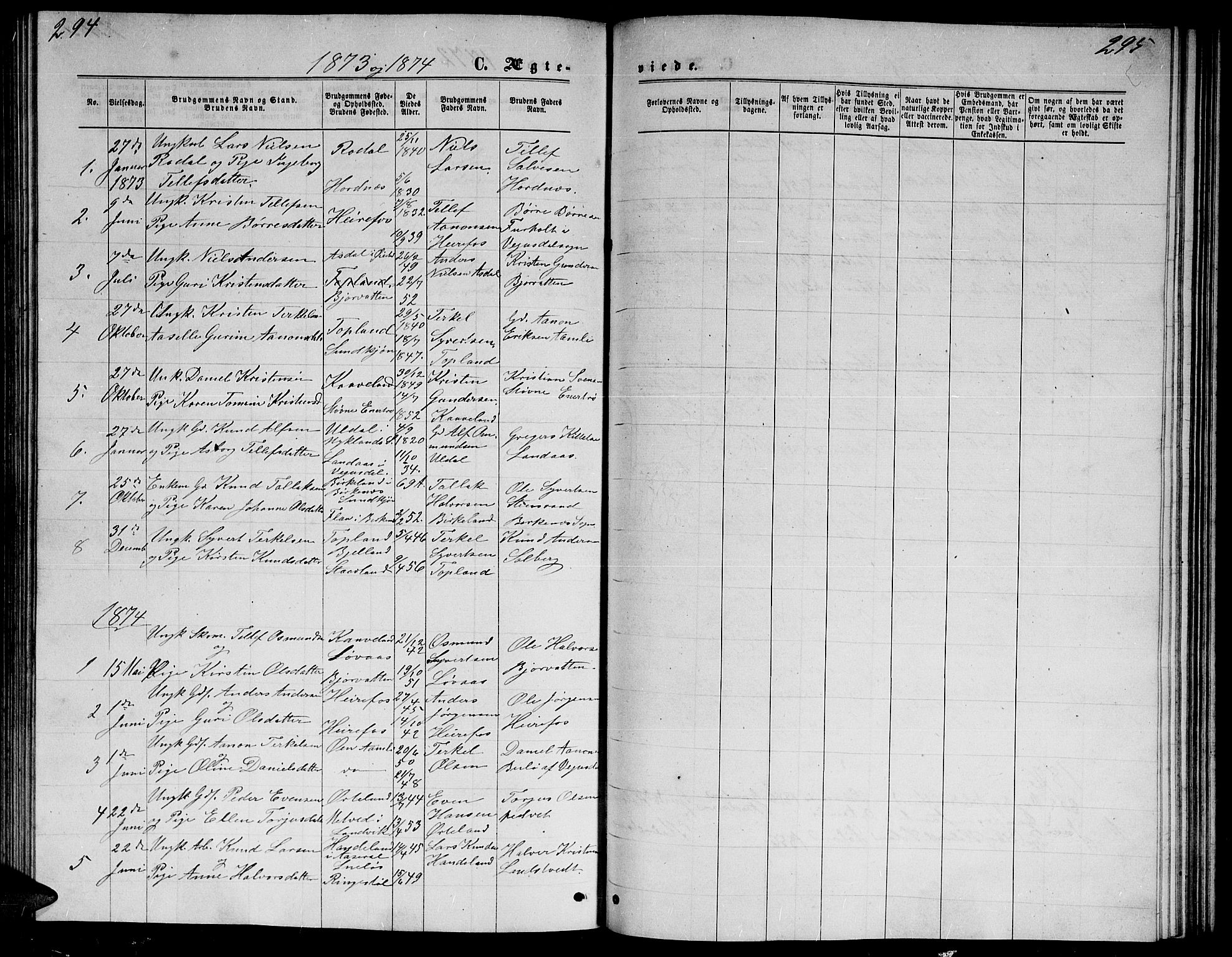 Herefoss sokneprestkontor, AV/SAK-1111-0019/F/Fb/Fba/L0002: Parish register (copy) no. B 2, 1868-1886, p. 294-295