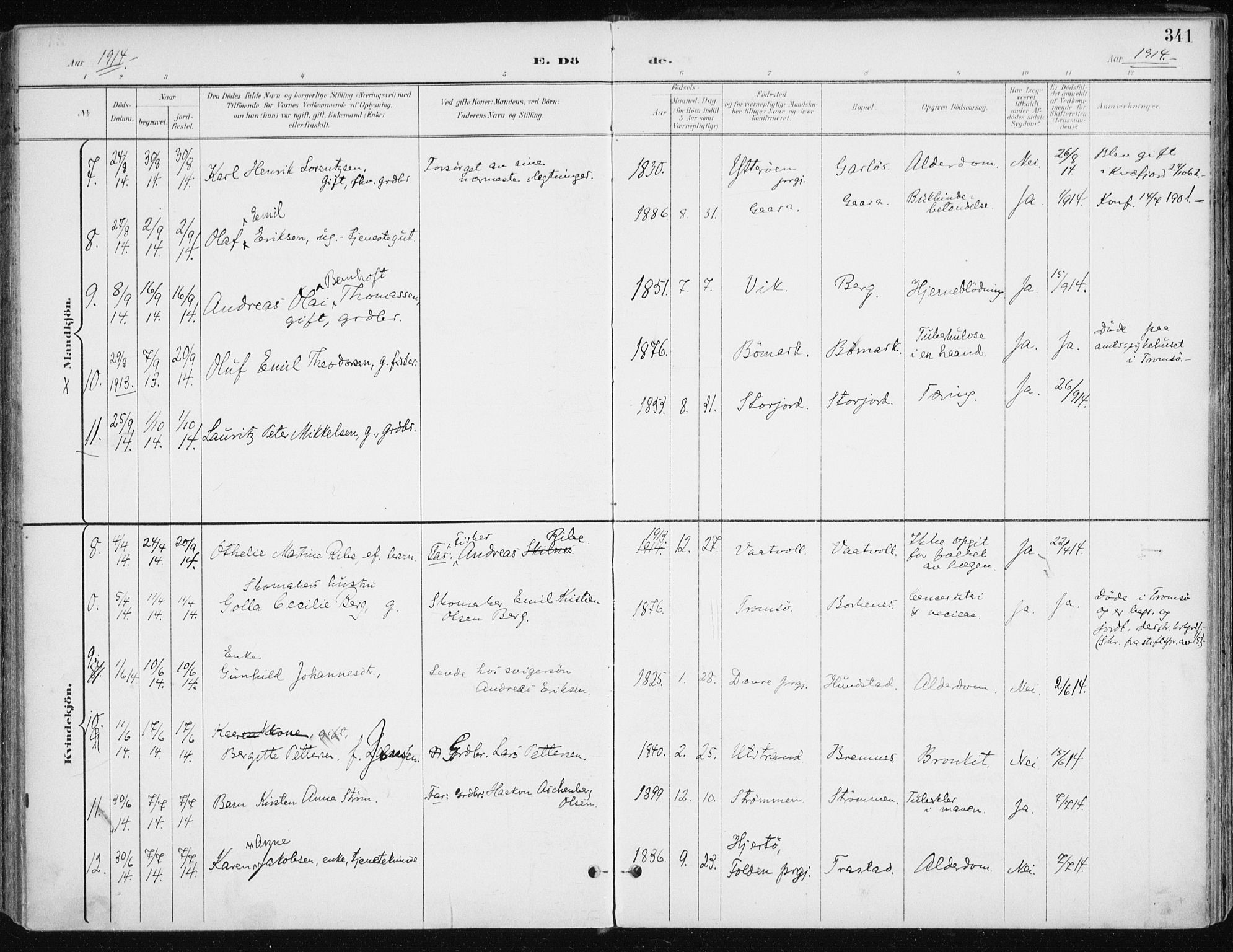 Kvæfjord sokneprestkontor, SATØ/S-1323/G/Ga/Gaa/L0006kirke: Parish register (official) no. 6, 1895-1914, p. 341