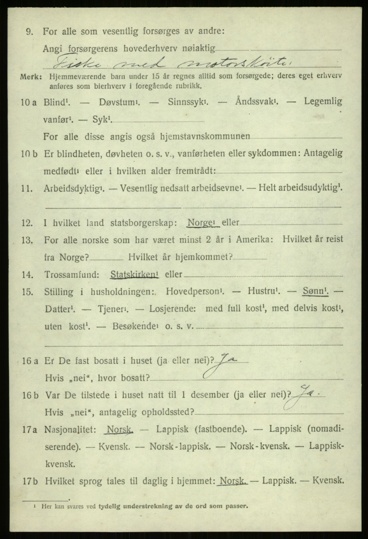 SATØ, 1920 census for Ibestad, 1920, p. 11797