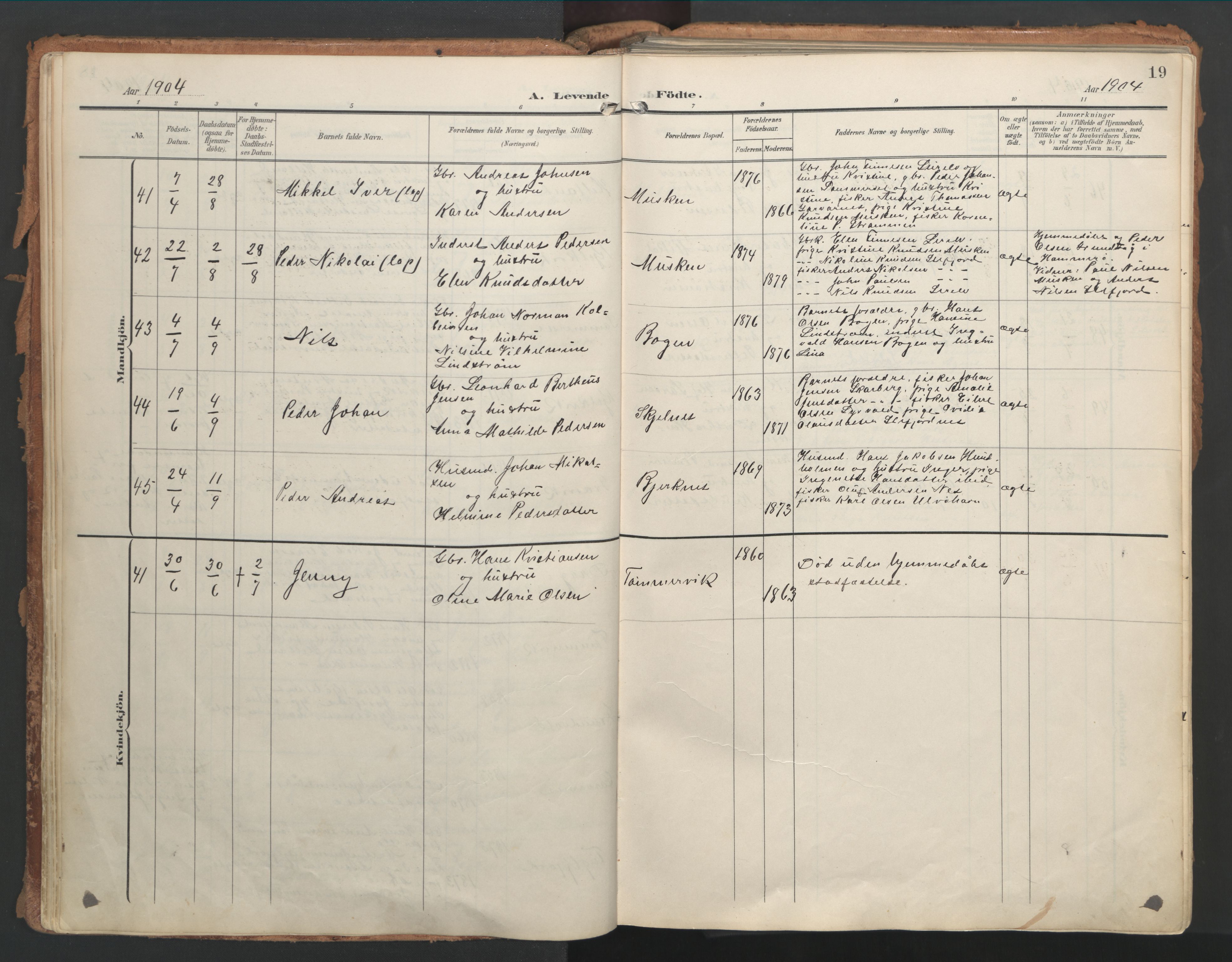 Ministerialprotokoller, klokkerbøker og fødselsregistre - Nordland, AV/SAT-A-1459/861/L0871: Parish register (official) no. 861A06, 1903-1916, p. 19