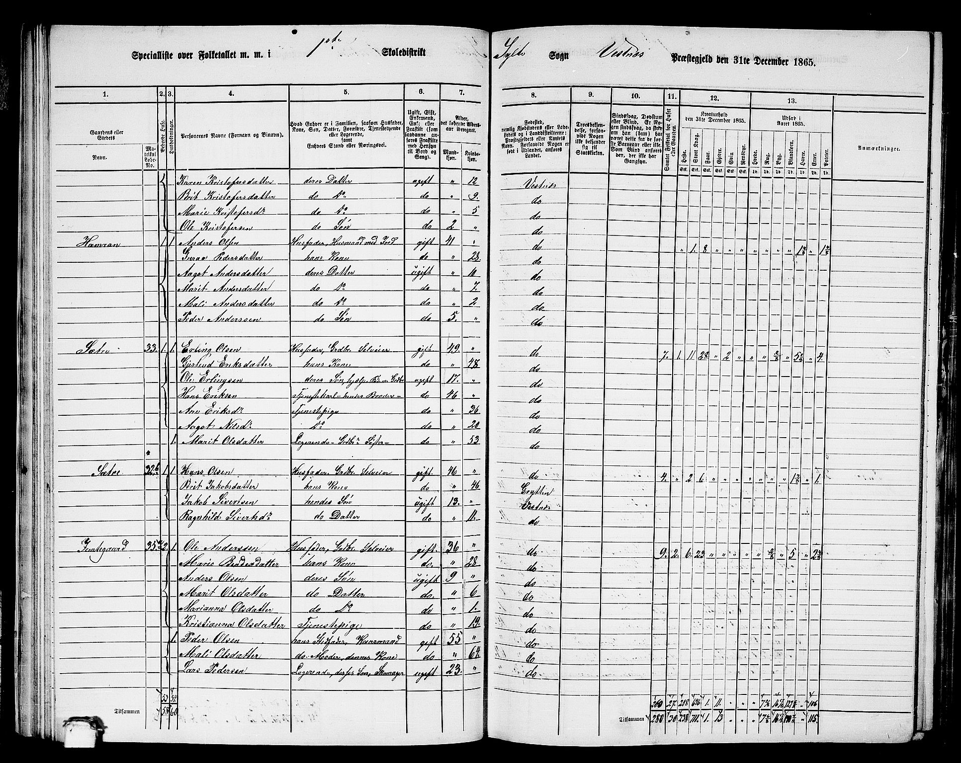 RA, 1865 census for Vestnes, 1865, p. 29