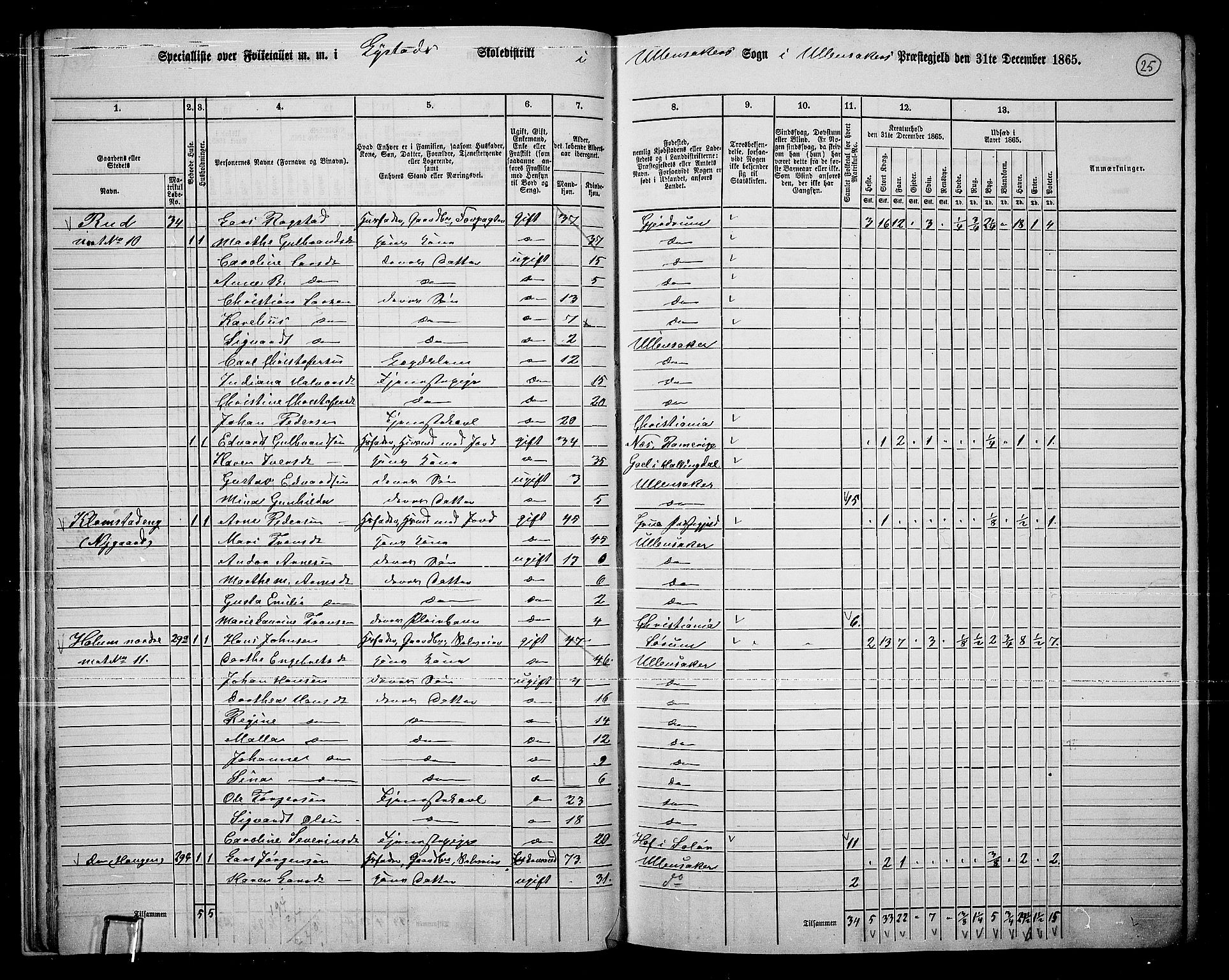 RA, 1865 census for Ullensaker, 1865, p. 22