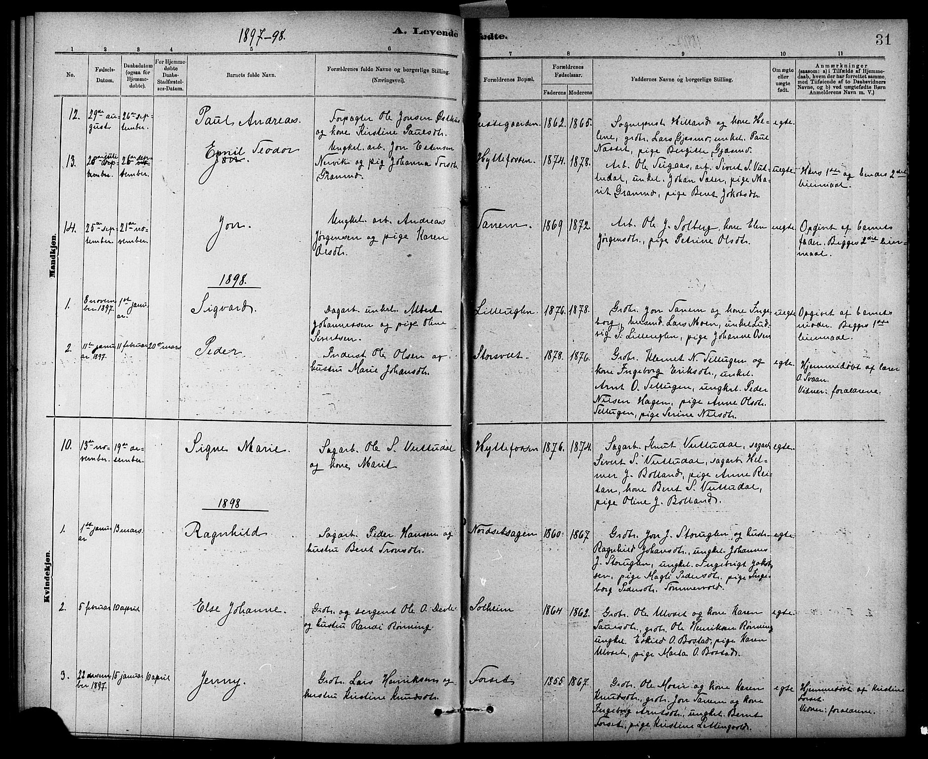 Ministerialprotokoller, klokkerbøker og fødselsregistre - Sør-Trøndelag, AV/SAT-A-1456/618/L0452: Parish register (copy) no. 618C03, 1884-1906, p. 31