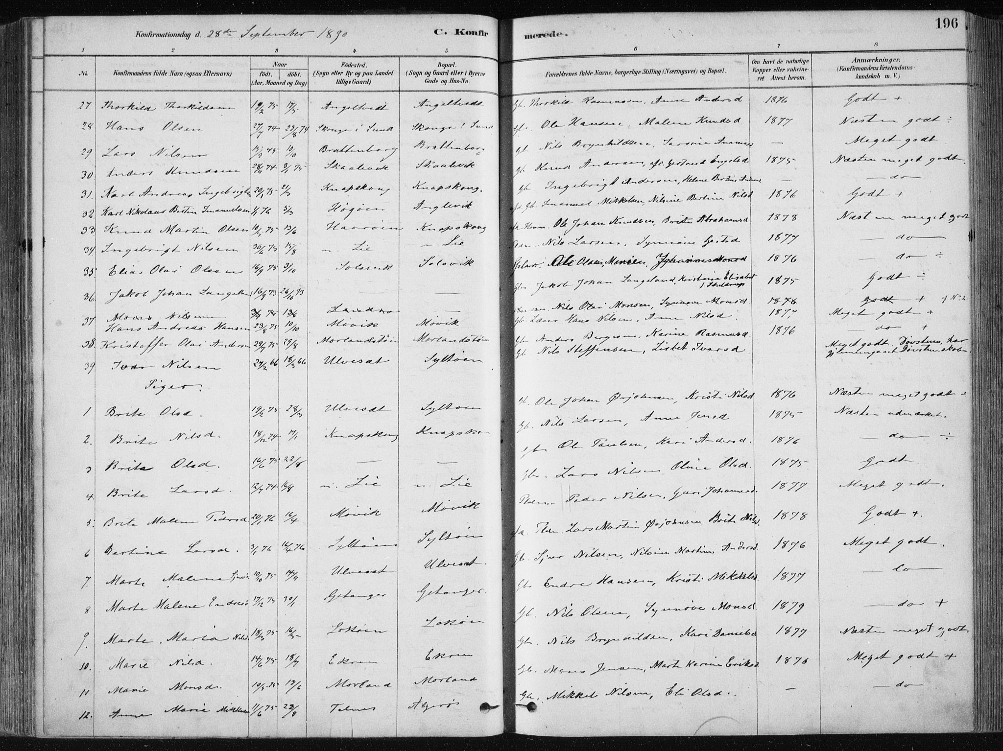 Fjell sokneprestembete, SAB/A-75301/H/Haa: Parish register (official) no. A  8, 1878-1898, p. 196