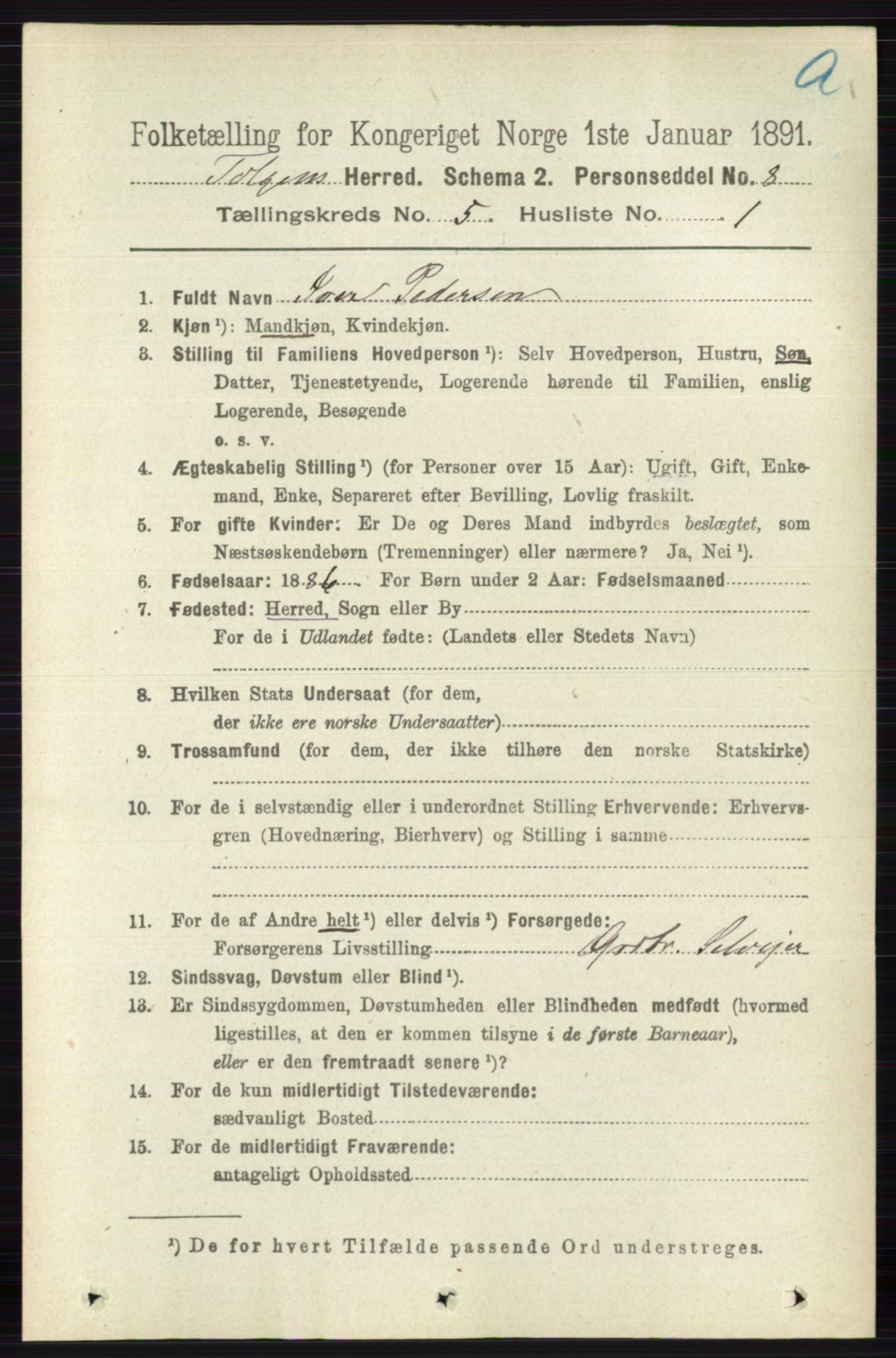 RA, 1891 census for 0436 Tolga, 1891, p. 1300