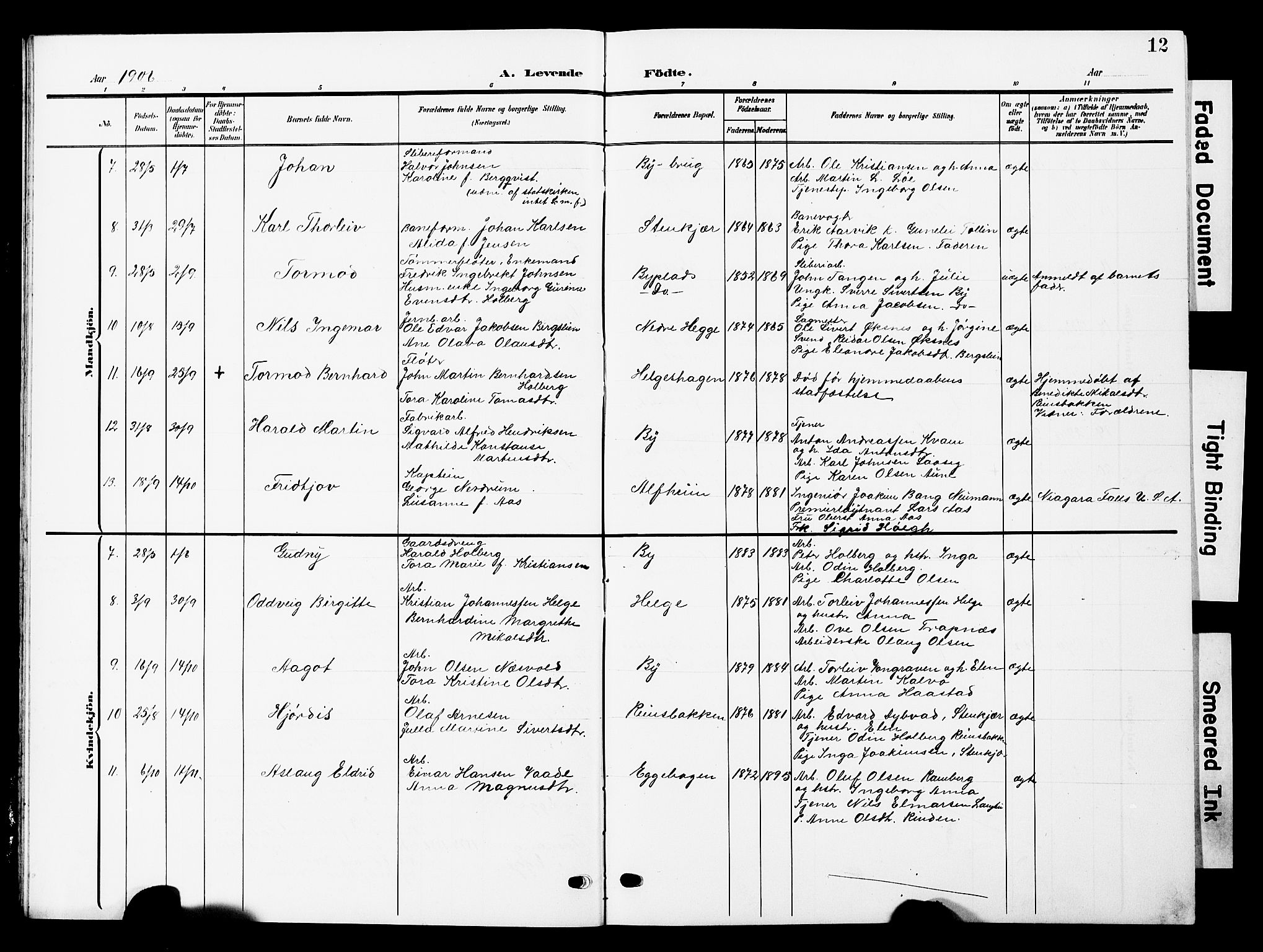 Ministerialprotokoller, klokkerbøker og fødselsregistre - Nord-Trøndelag, AV/SAT-A-1458/740/L0381: Parish register (copy) no. 740C02, 1903-1914, p. 12