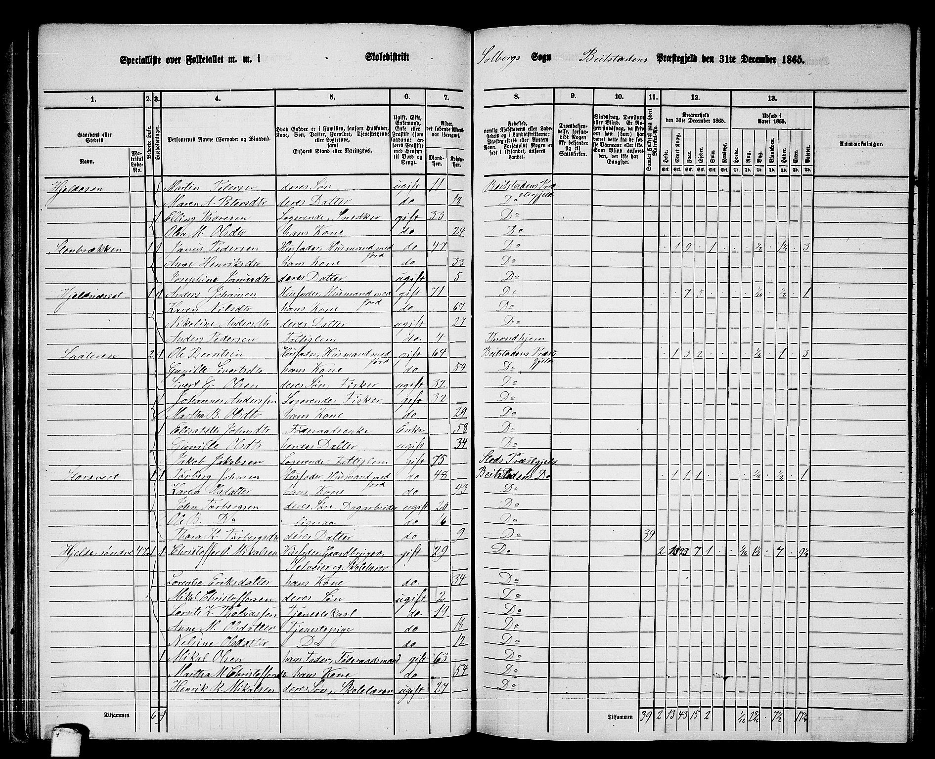 RA, 1865 census for Beitstad, 1865, p. 67