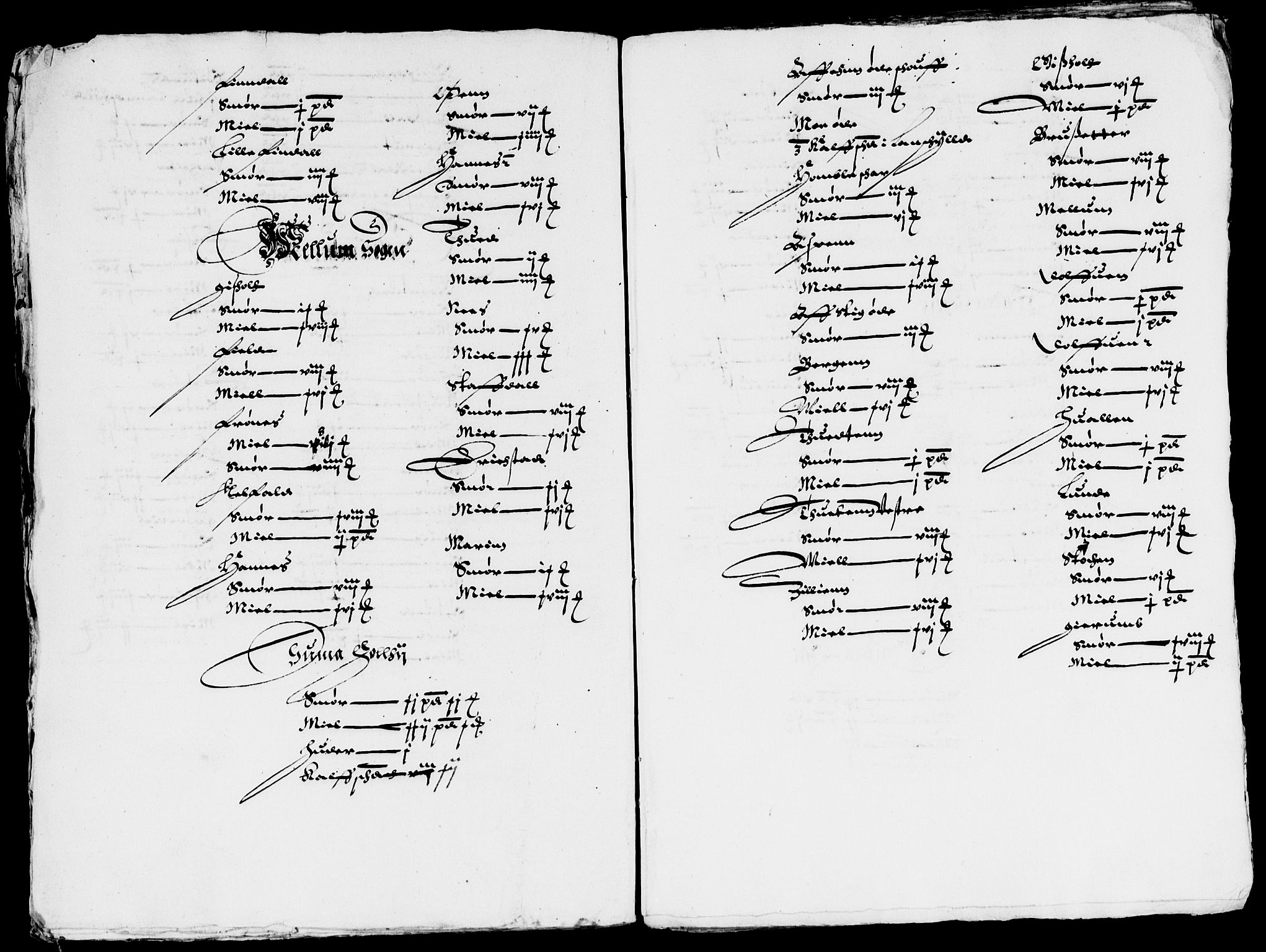 Rentekammeret inntil 1814, Reviderte regnskaper, Lensregnskaper, AV/RA-EA-5023/R/Rb/Rbp/L0006: Bratsberg len, 1619-1621