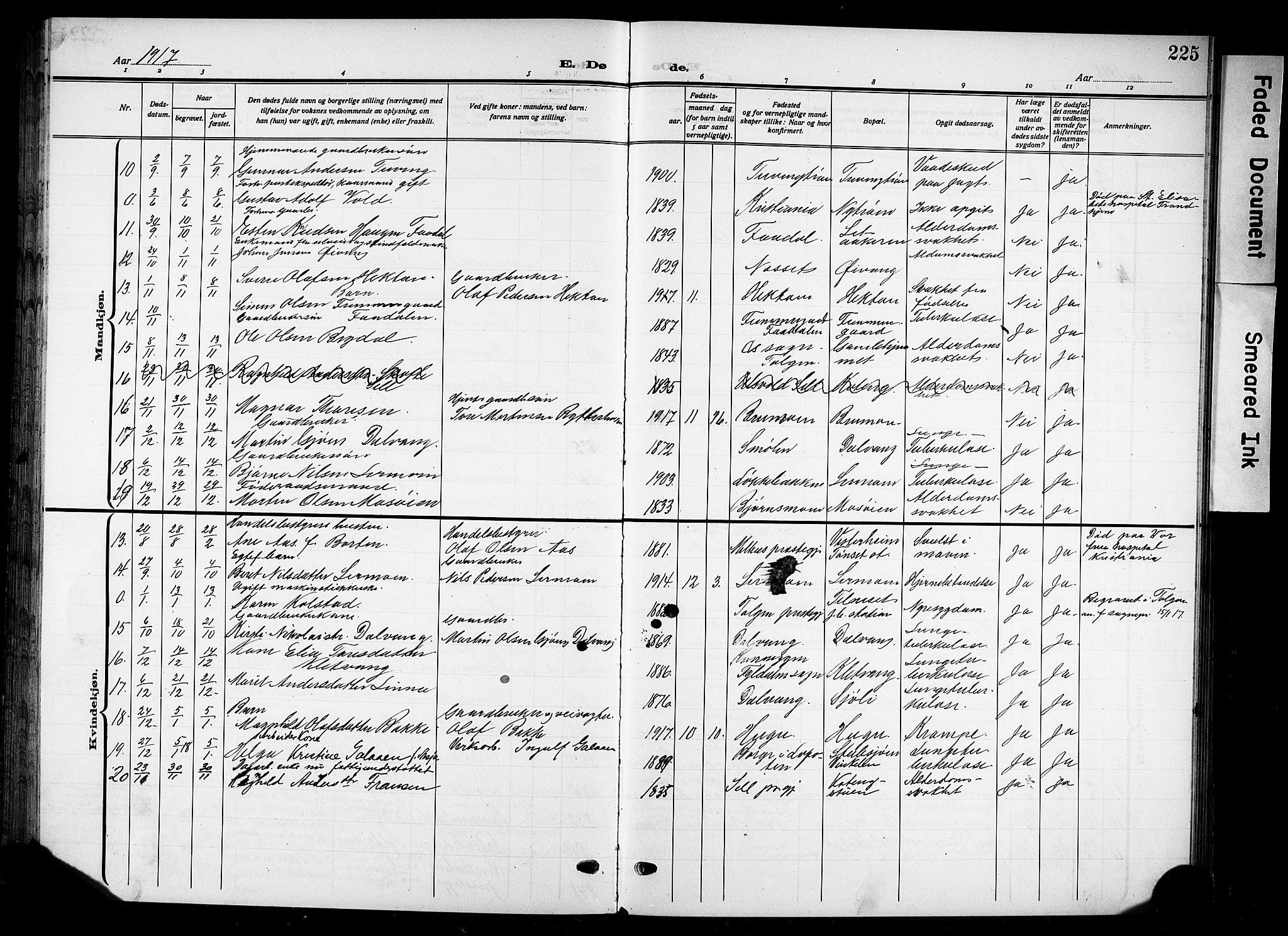 Tynset prestekontor, AV/SAH-PREST-058/H/Ha/Hab/L0011: Parish register (copy) no. 11, 1915-1930, p. 225