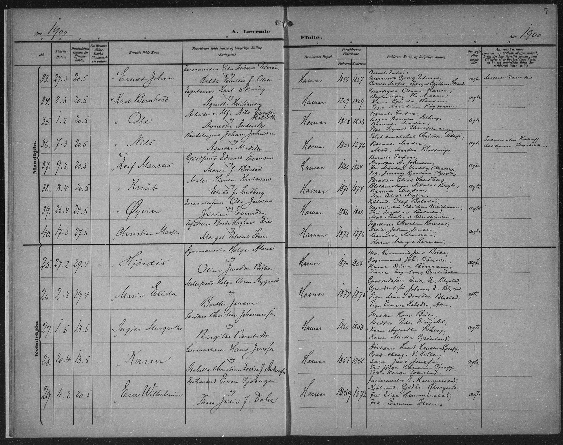 Hamar prestekontor, SAH/DOMPH-002/H/Ha/Haa/L0001: Parish register (official) no. 1, 1900-1914, p. 7