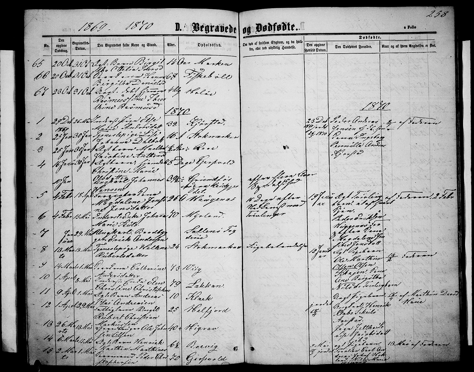 Ministerialprotokoller, klokkerbøker og fødselsregistre - Nordland, AV/SAT-A-1459/888/L1266: Parish register (copy) no. 888C04, 1864-1877, p. 258