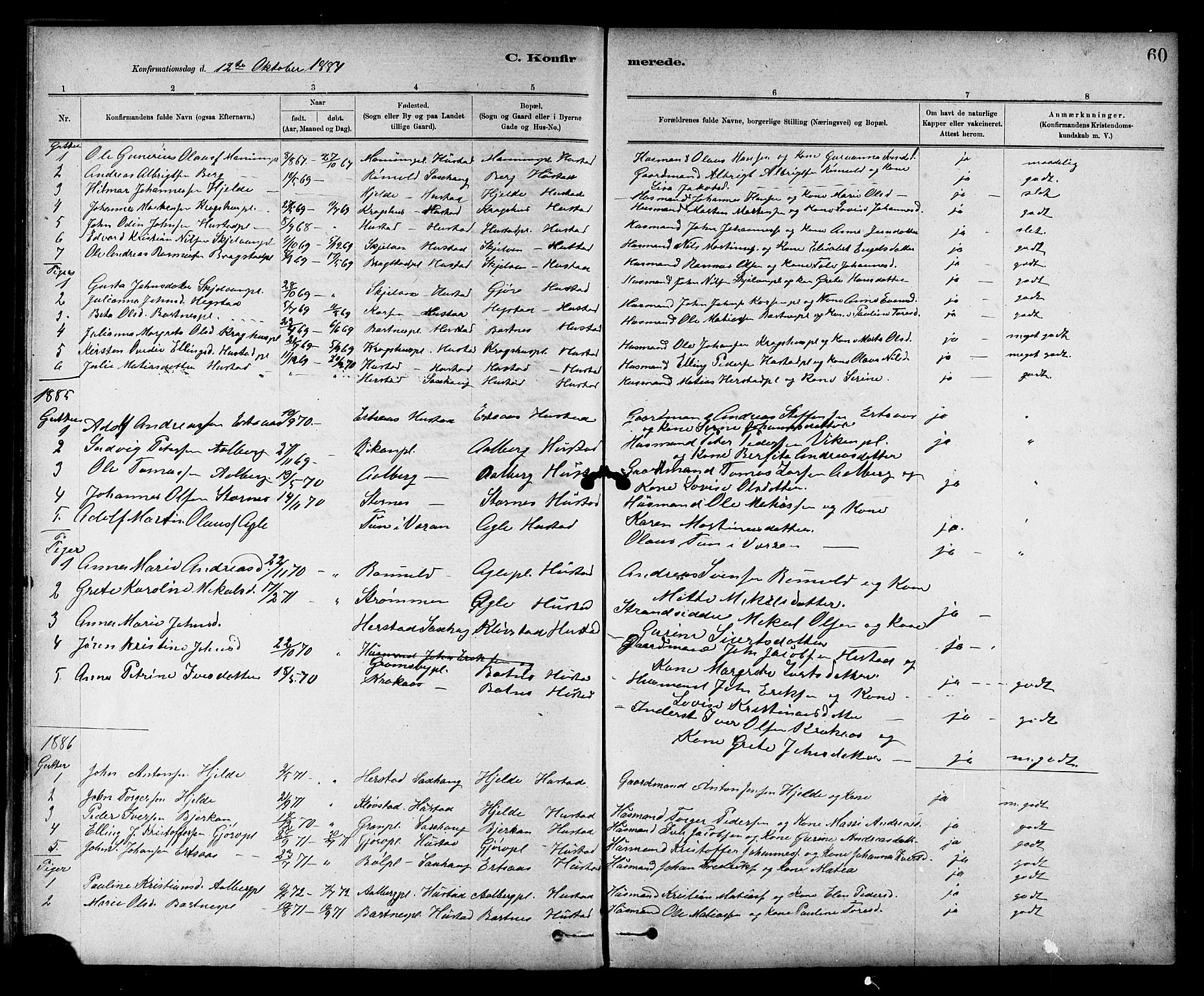 Ministerialprotokoller, klokkerbøker og fødselsregistre - Nord-Trøndelag, SAT/A-1458/732/L0318: Parish register (copy) no. 732C02, 1881-1911, p. 60