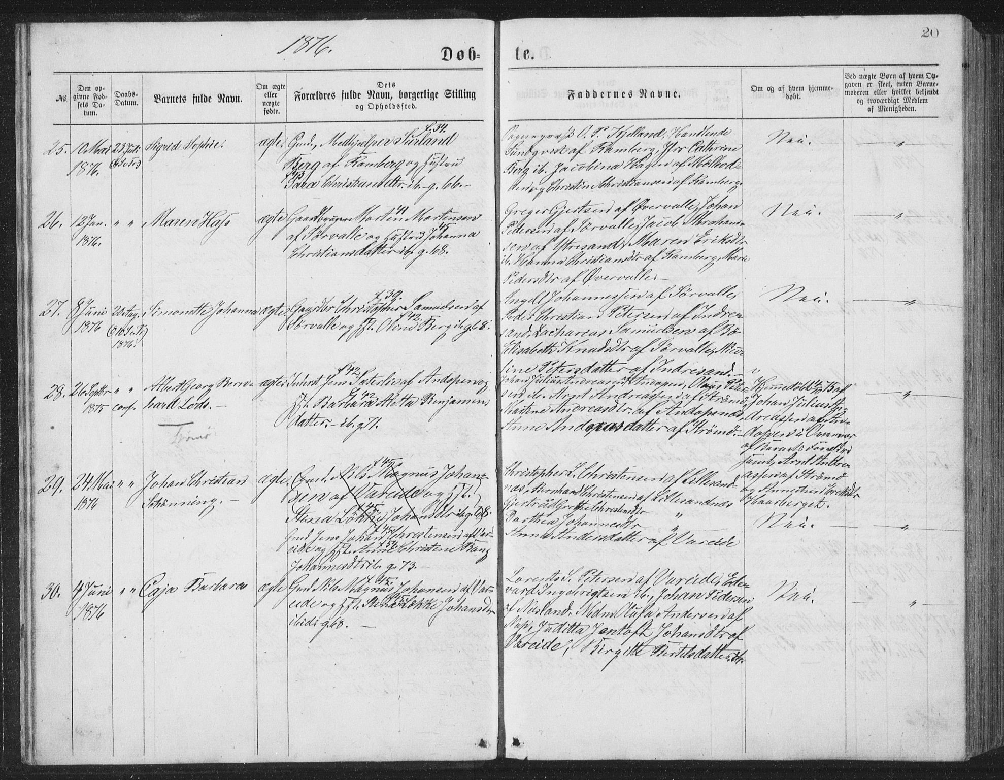 Ministerialprotokoller, klokkerbøker og fødselsregistre - Nordland, AV/SAT-A-1459/885/L1213: Parish register (copy) no. 885C02, 1874-1892, p. 20