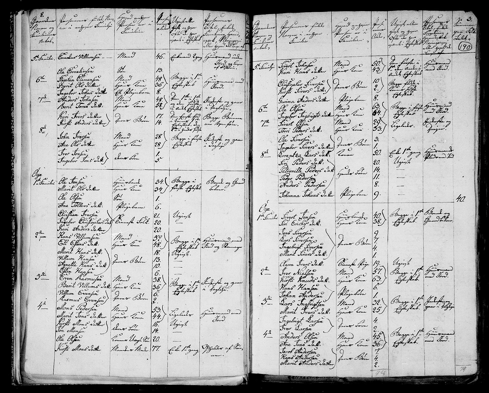 RA, 1801 census for 1653P Melhus, 1801, p. 189b-190a