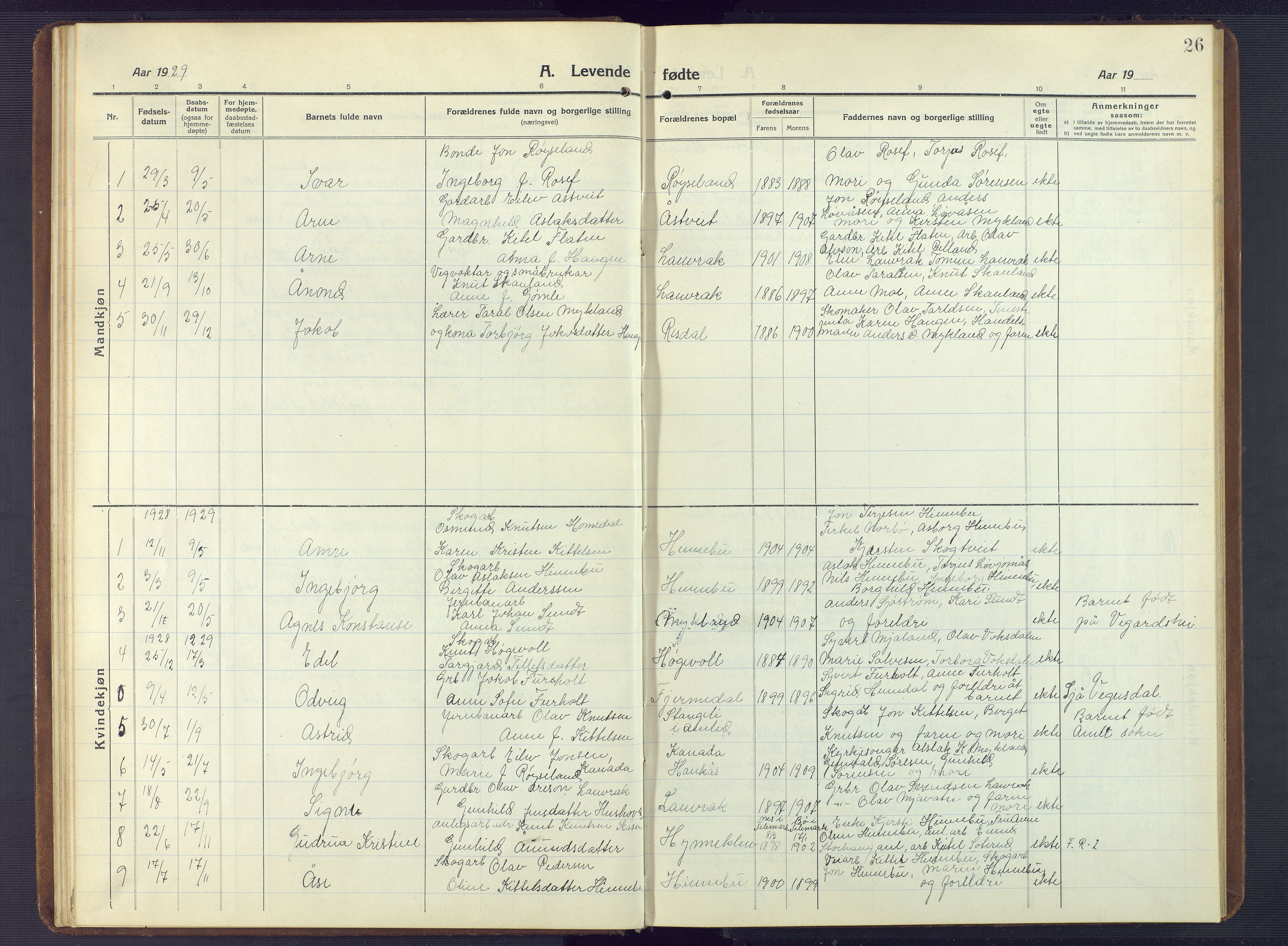 Herefoss sokneprestkontor, AV/SAK-1111-0019/F/Fb/Fbc/L0004: Parish register (copy) no. B 4, 1914-1946, p. 26