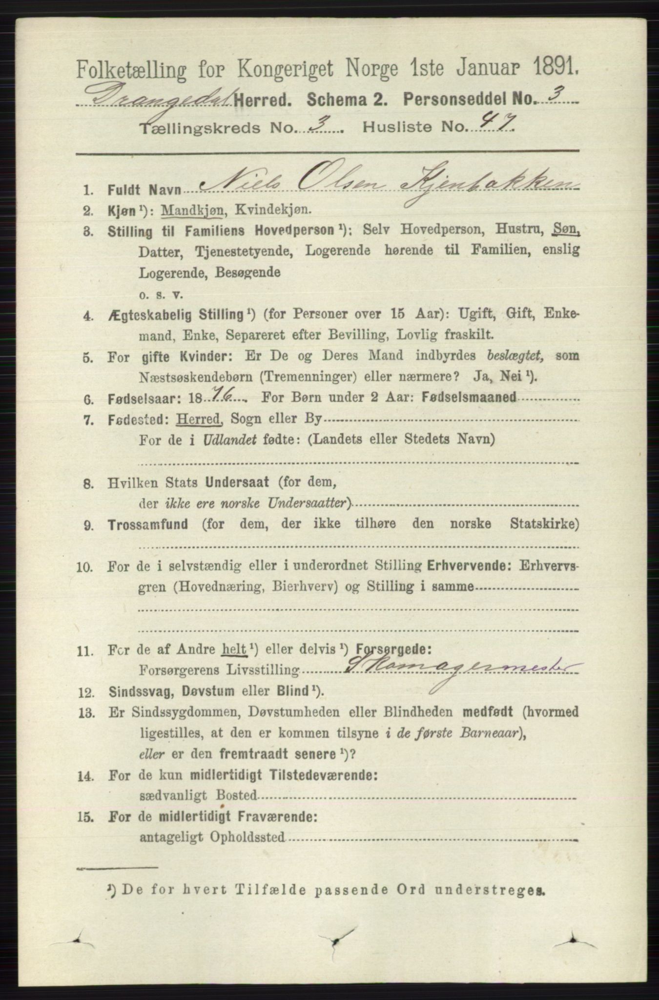 RA, 1891 census for 0817 Drangedal, 1891, p. 1154