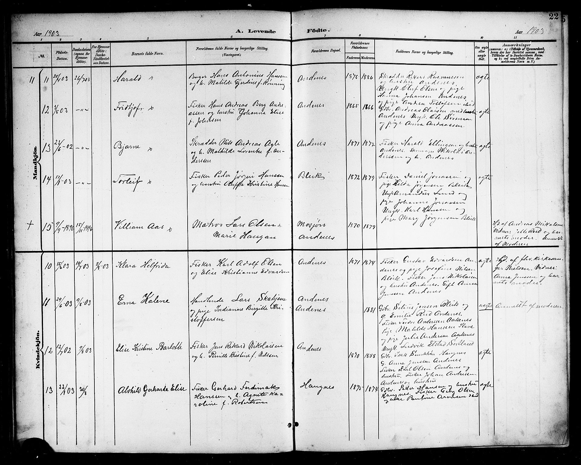 Ministerialprotokoller, klokkerbøker og fødselsregistre - Nordland, SAT/A-1459/899/L1449: Parish register (copy) no. 899C04, 1900-1918, p. 22