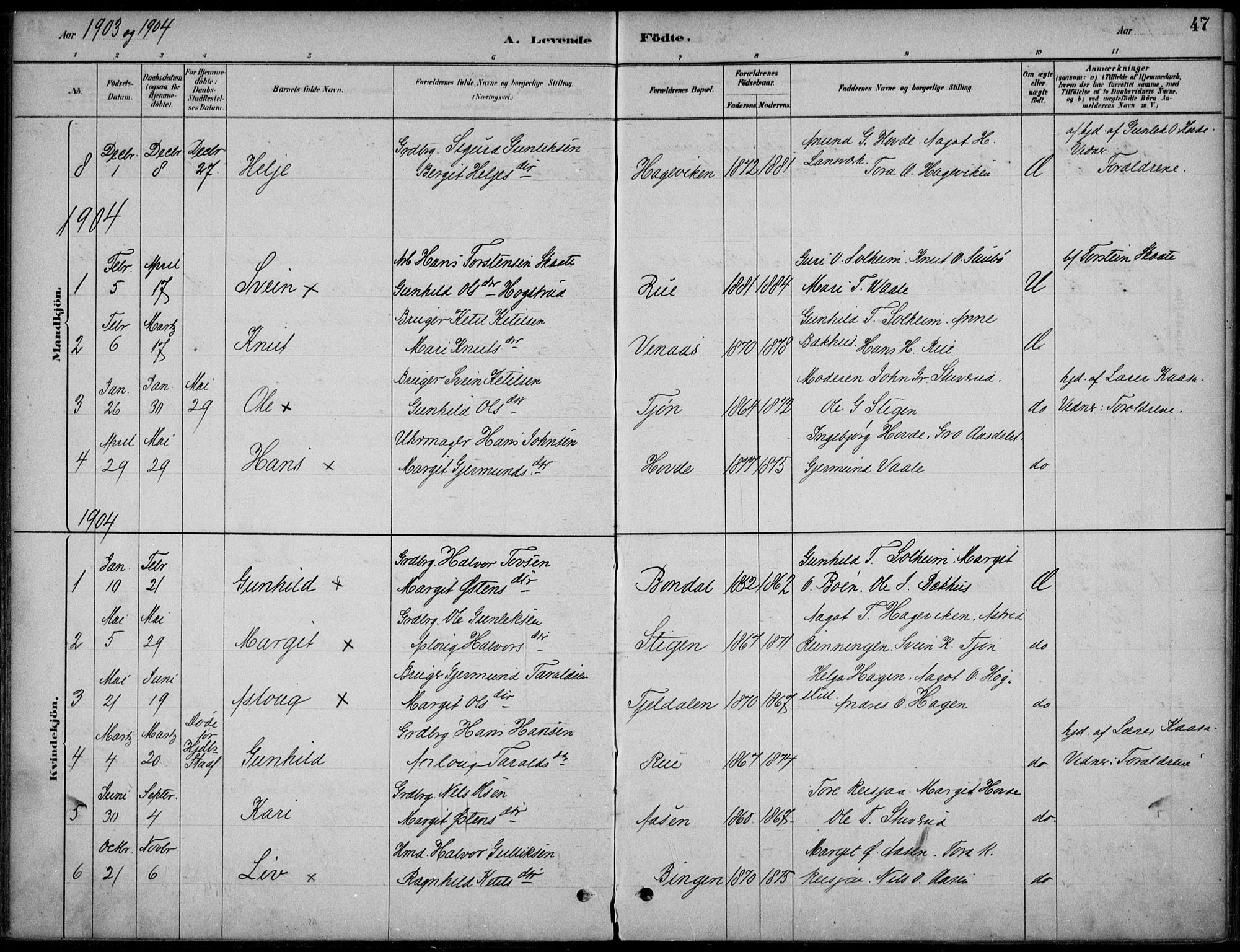 Hjartdal kirkebøker, AV/SAKO-A-270/F/Fc/L0002: Parish register (official) no. III 2, 1880-1936, p. 47