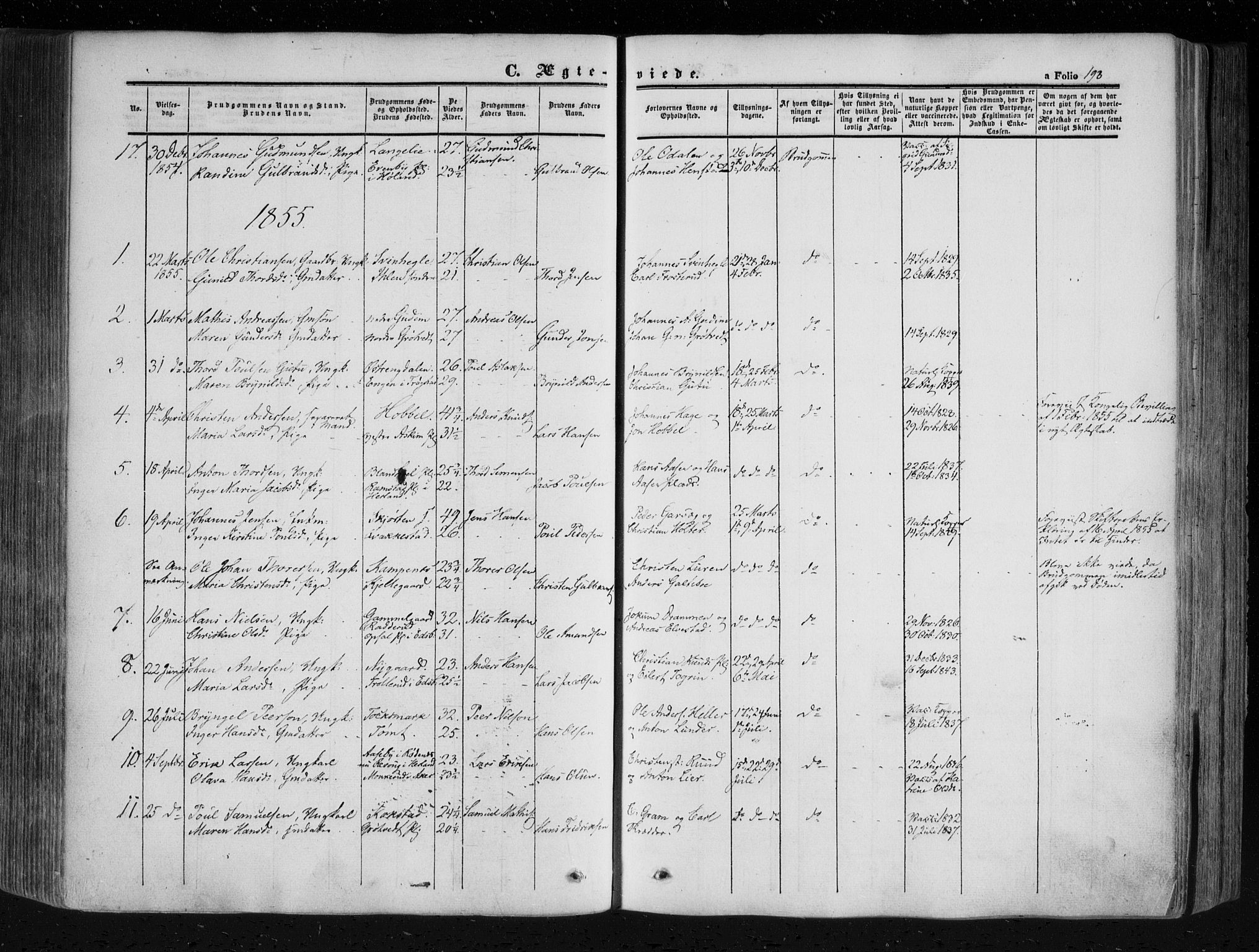 Askim prestekontor Kirkebøker, AV/SAO-A-10900/F/Fa/L0005: Parish register (official) no. 5, 1847-1879, p. 193