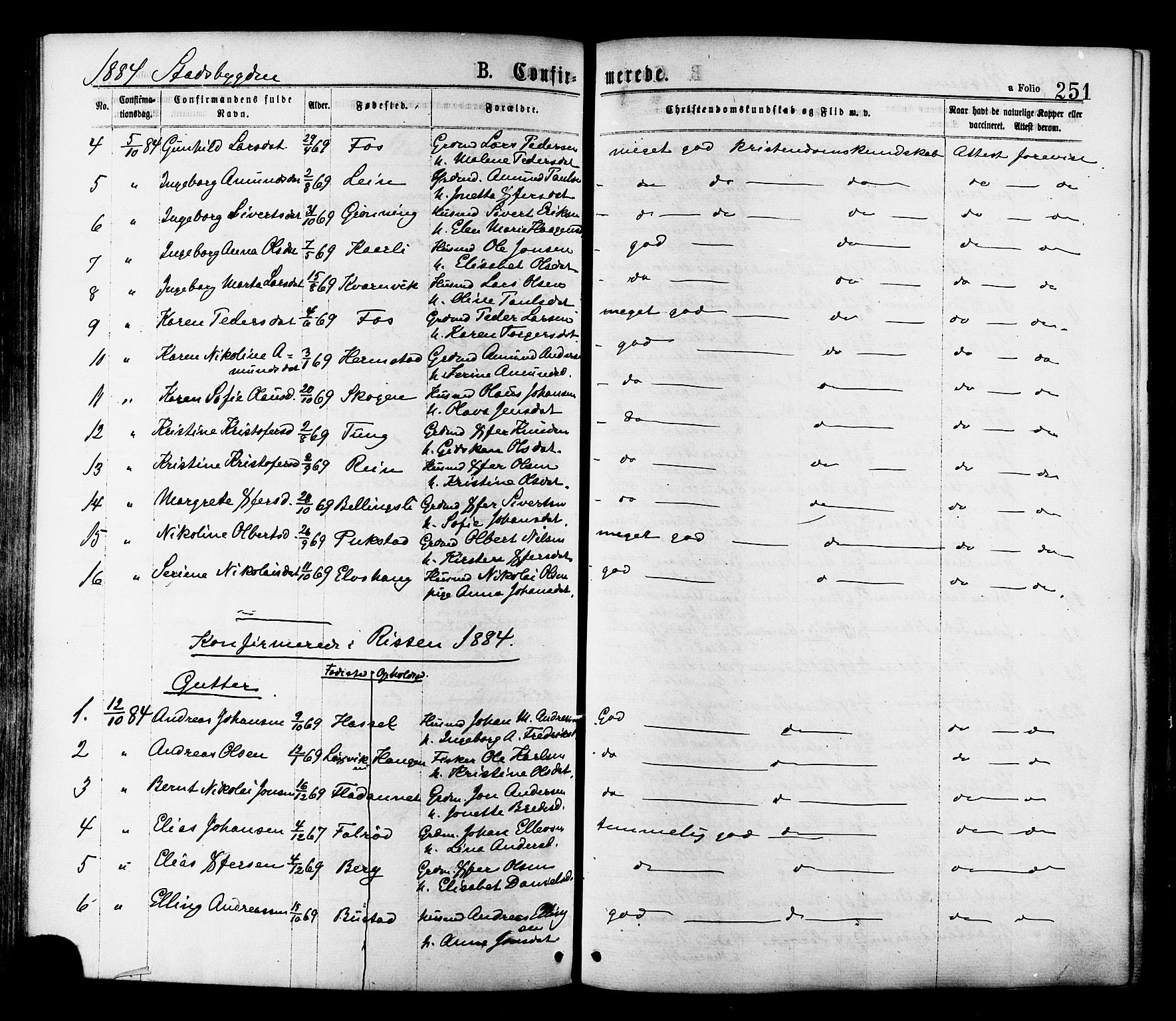 Ministerialprotokoller, klokkerbøker og fødselsregistre - Sør-Trøndelag, SAT/A-1456/646/L0613: Parish register (official) no. 646A11, 1870-1884, p. 251