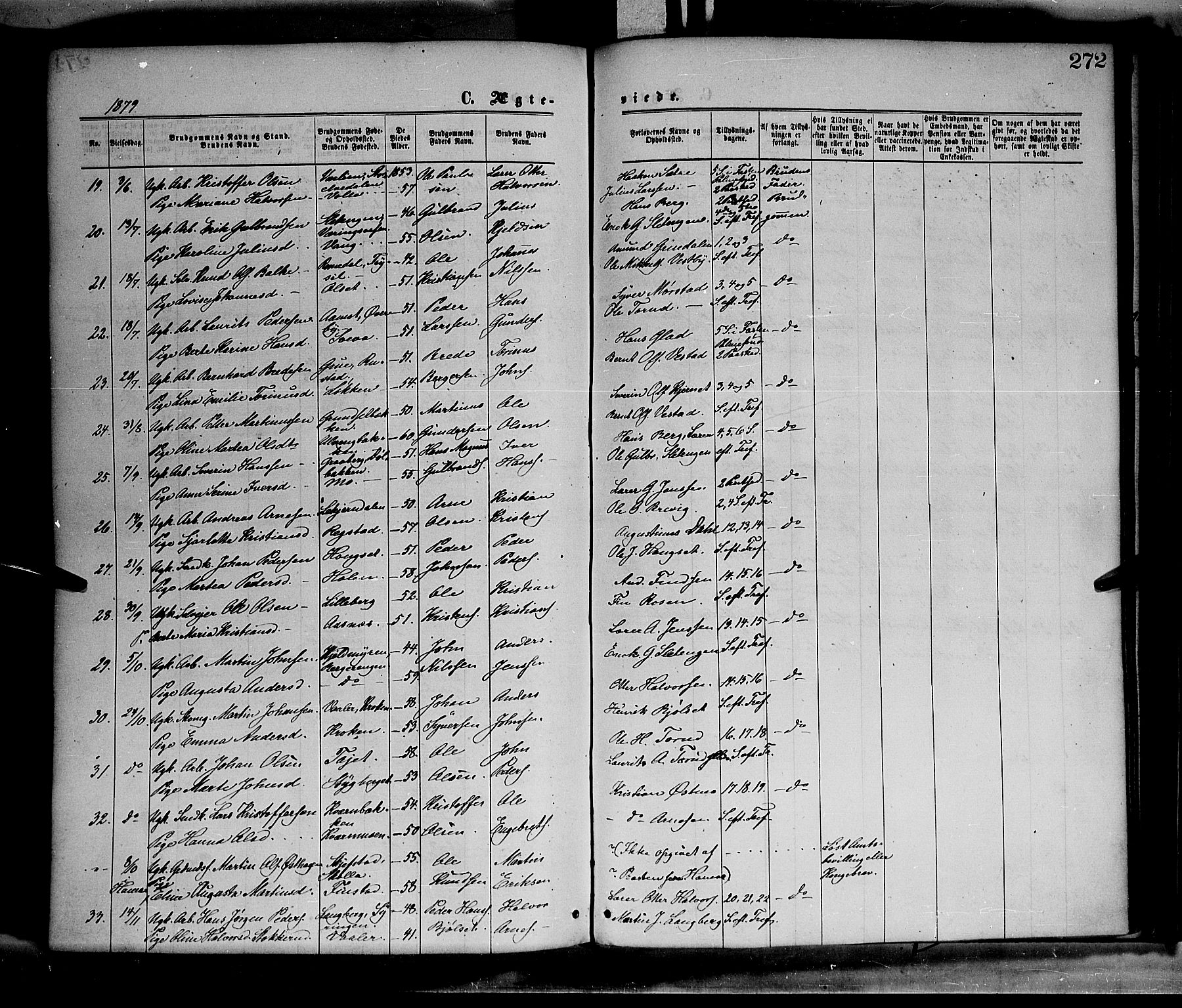 Elverum prestekontor, AV/SAH-PREST-044/H/Ha/Haa/L0011: Parish register (official) no. 11, 1869-1879, p. 272