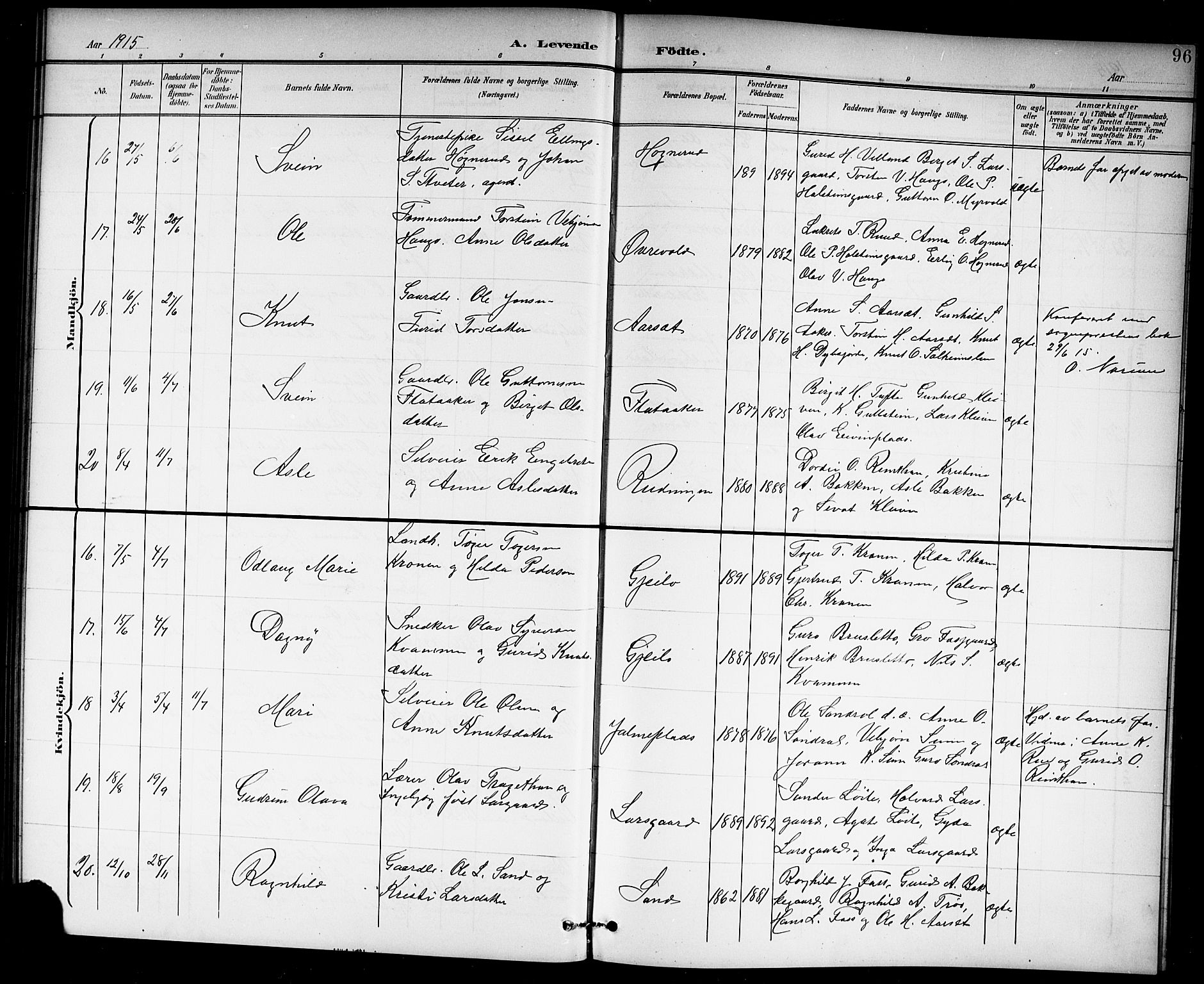 Hol kirkebøker, AV/SAKO-A-227/G/Ga/L0001: Parish register (copy) no. I 1, 1900-1919, p. 96