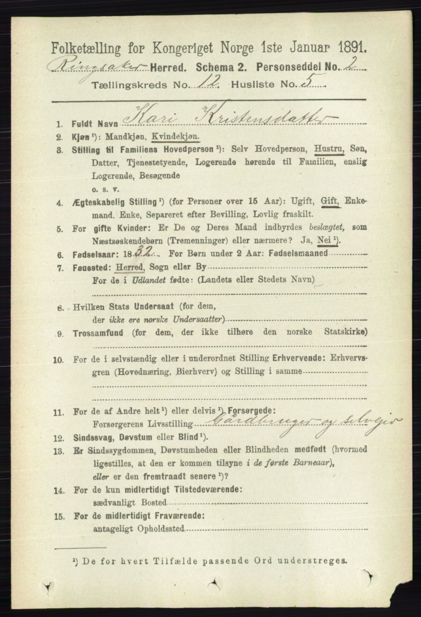 RA, 1891 census for 0412 Ringsaker, 1891, p. 6788