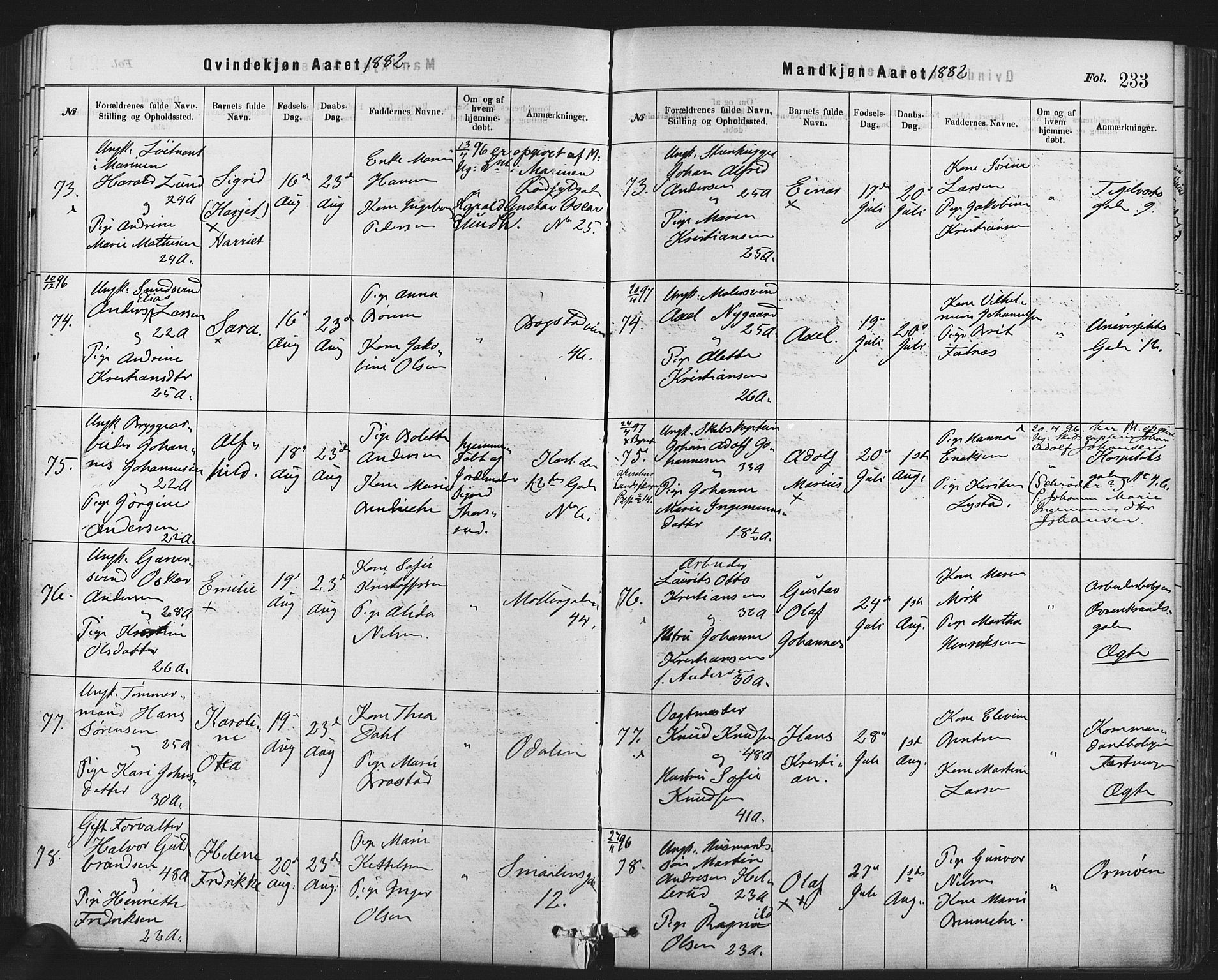 Rikshospitalet prestekontor Kirkebøker, AV/SAO-A-10309b/F/L0006: Parish register (official) no. 6, 1871-1885, p. 233