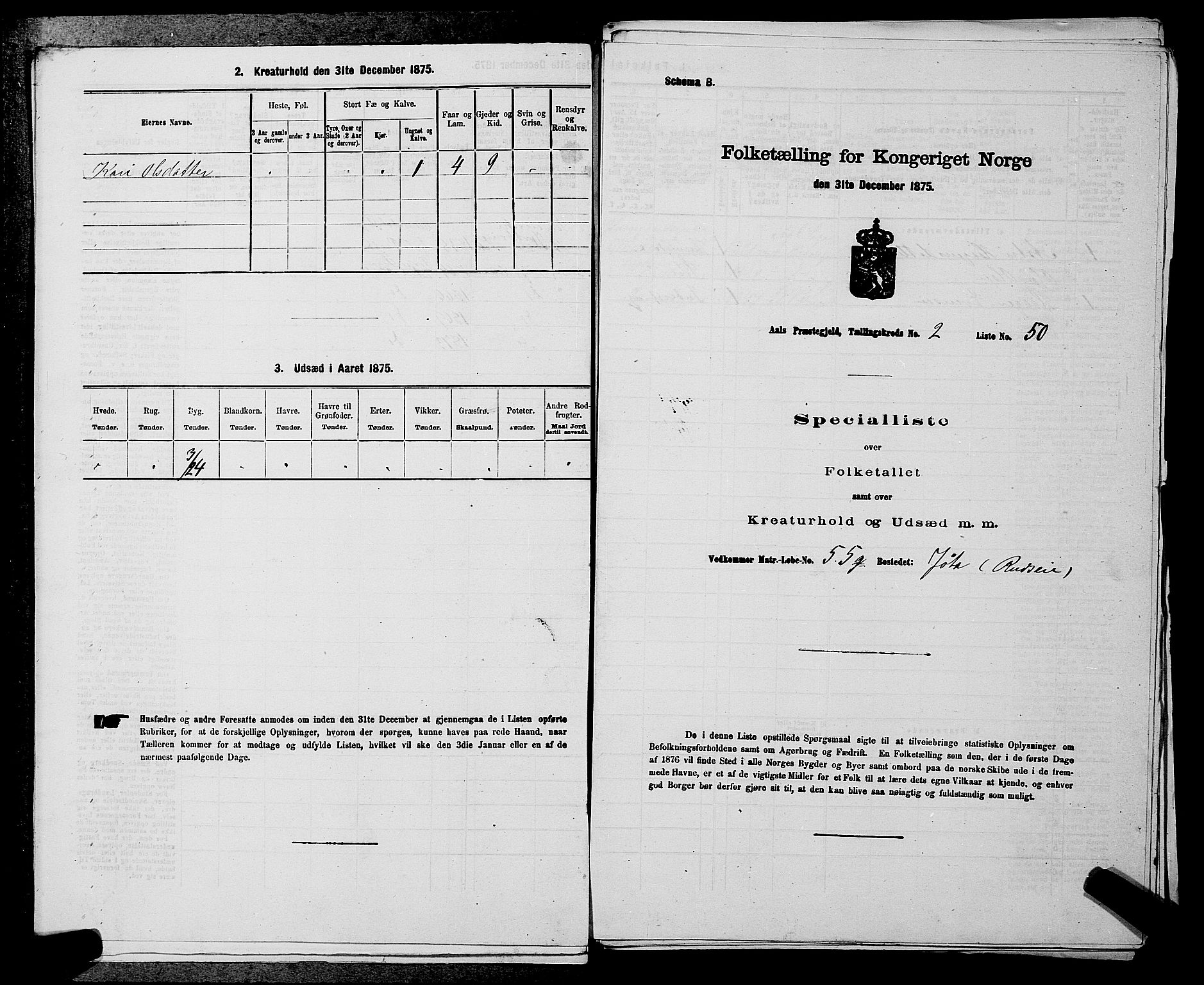 SAKO, 1875 census for 0619P Ål, 1875, p. 216