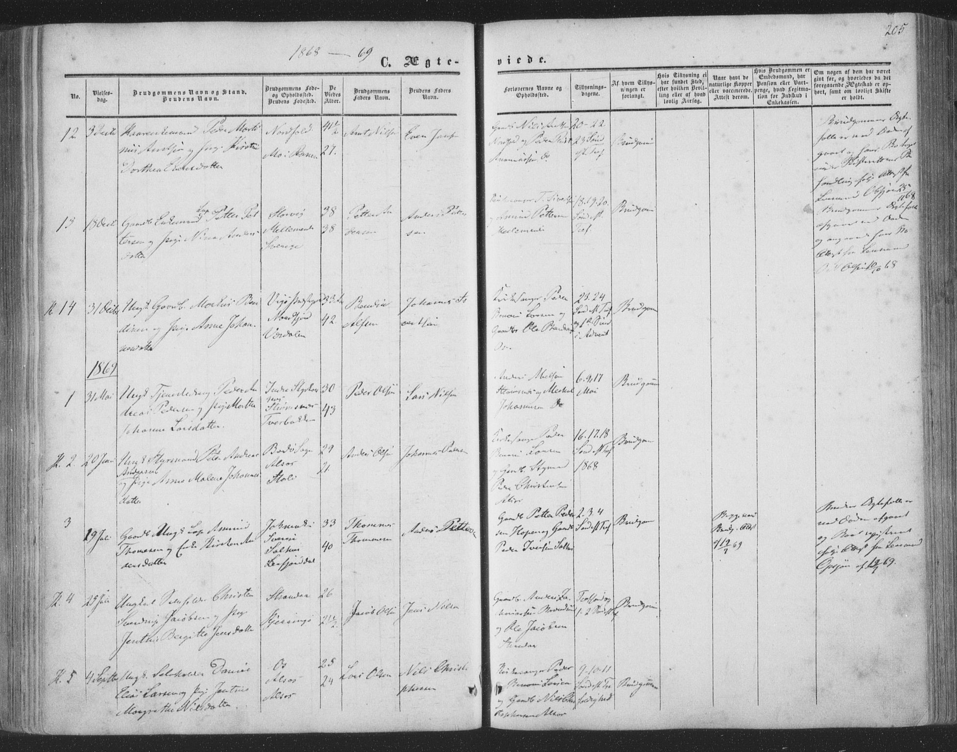 Ministerialprotokoller, klokkerbøker og fødselsregistre - Nordland, AV/SAT-A-1459/853/L0770: Parish register (official) no. 853A09, 1857-1870, p. 205