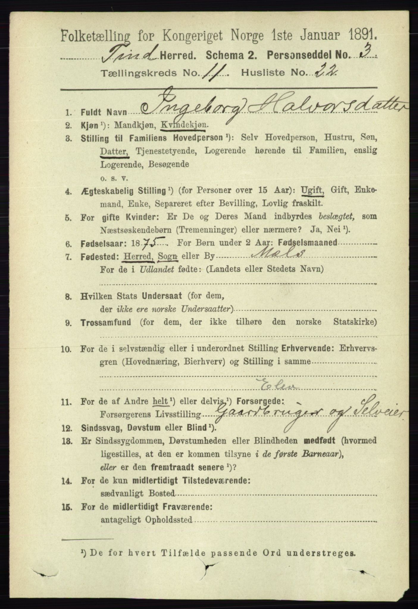 RA, 1891 census for 0826 Tinn, 1891, p. 2234