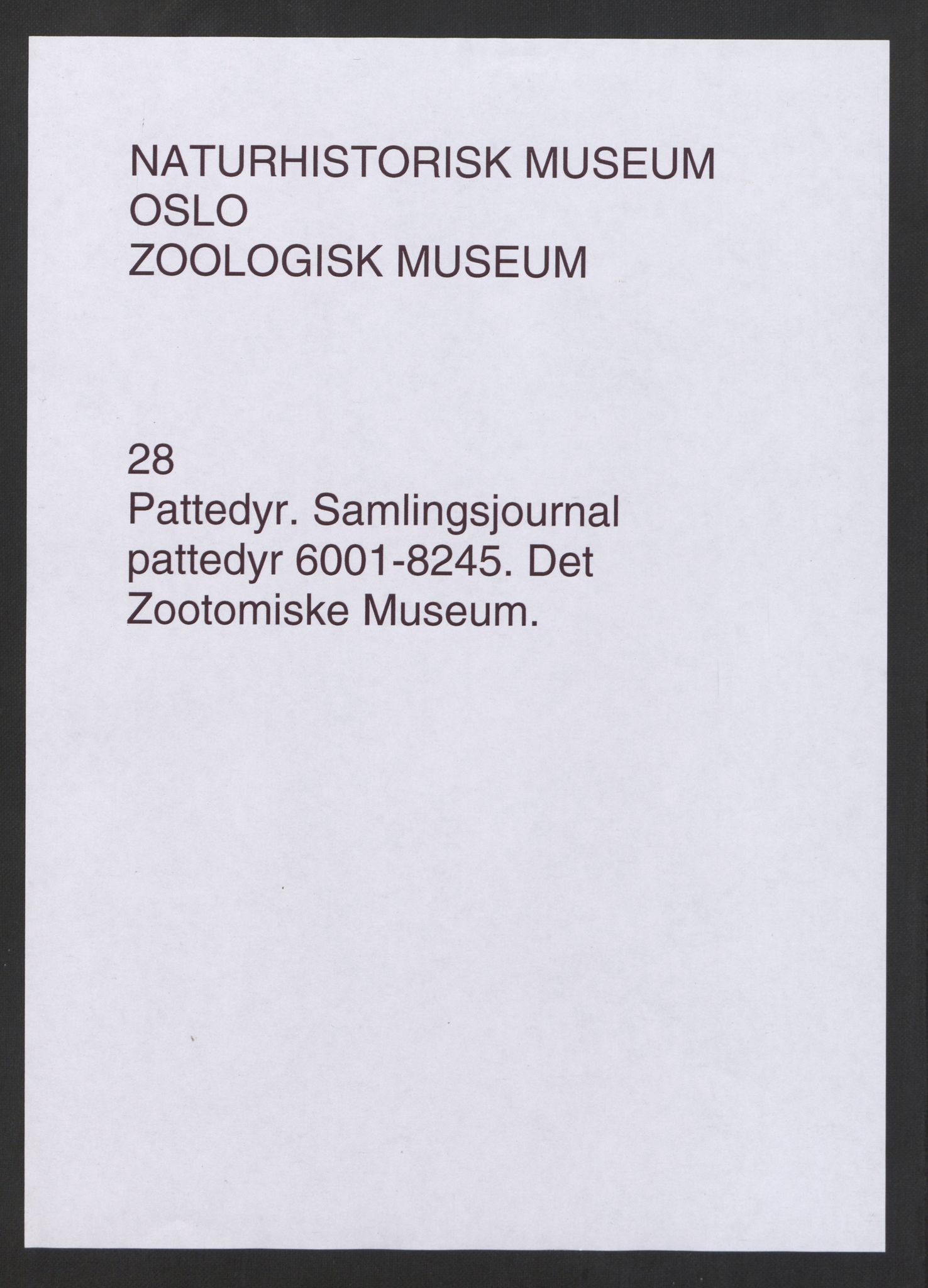 Naturhistorisk museum (Oslo), NHMO/-/4