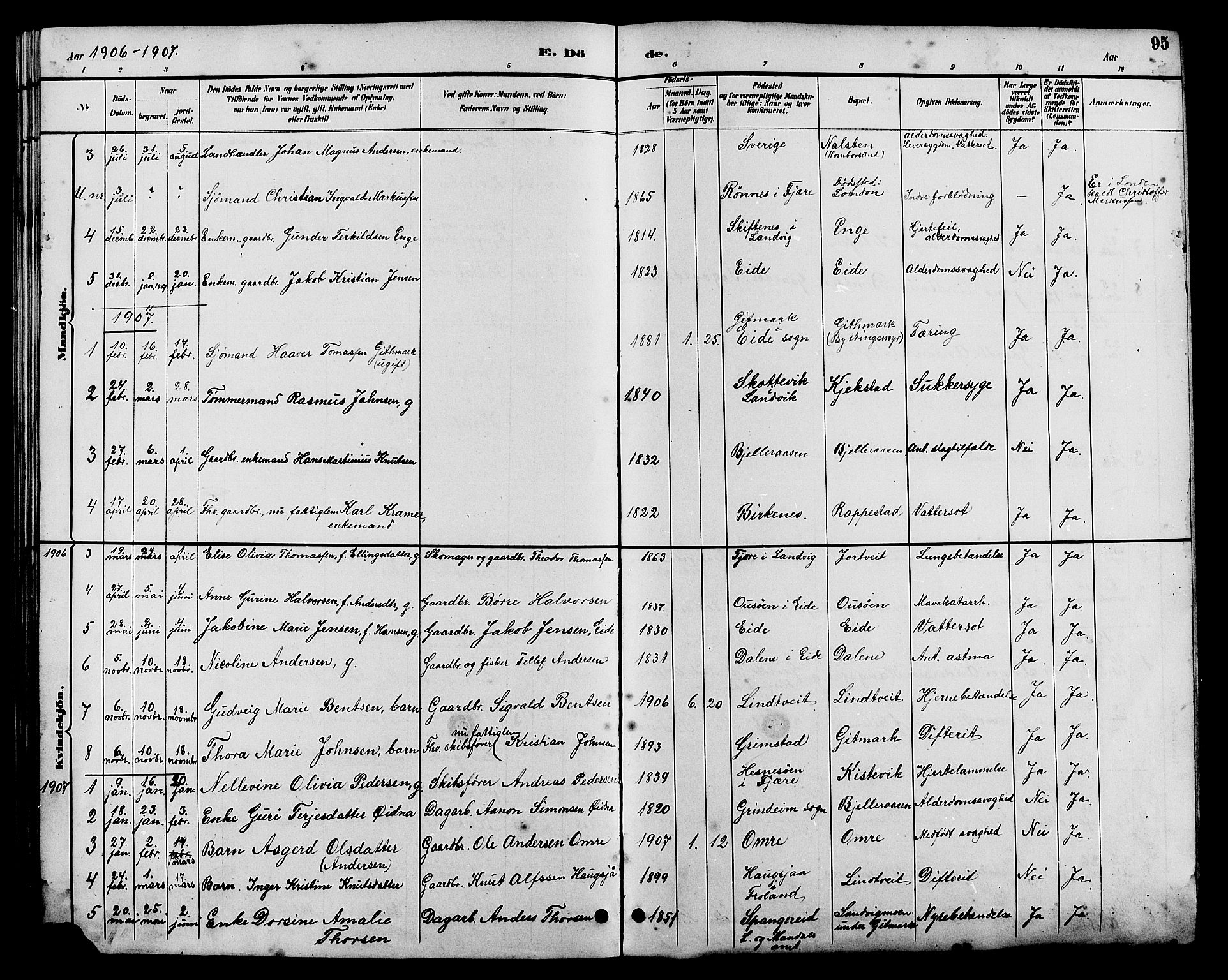 Hommedal sokneprestkontor, AV/SAK-1111-0023/F/Fb/Fba/L0004: Parish register (copy) no. B 4, 1885-1908, p. 95