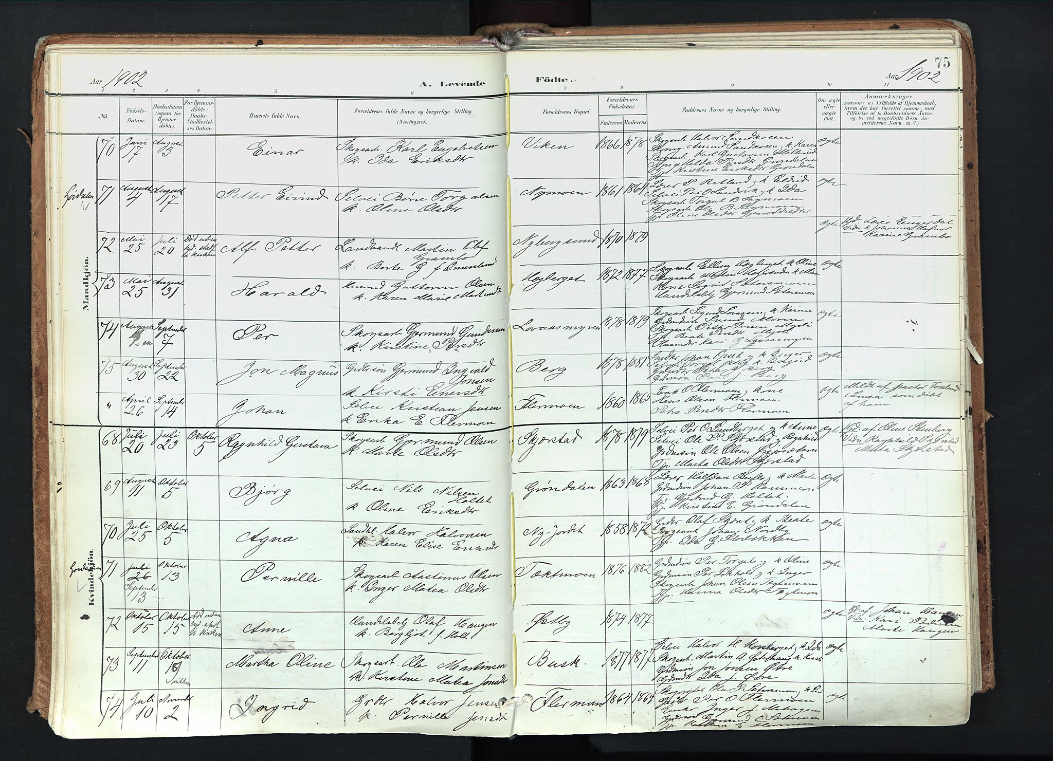 Trysil prestekontor, AV/SAH-PREST-046/H/Ha/Haa/L0012: Parish register (official) no. 12, 1898-1917, p. 75