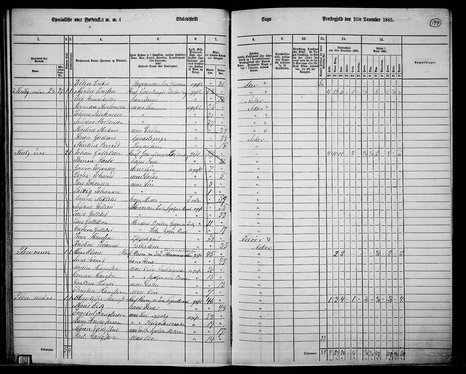 RA, 1865 census for Asker, 1865, p. 191