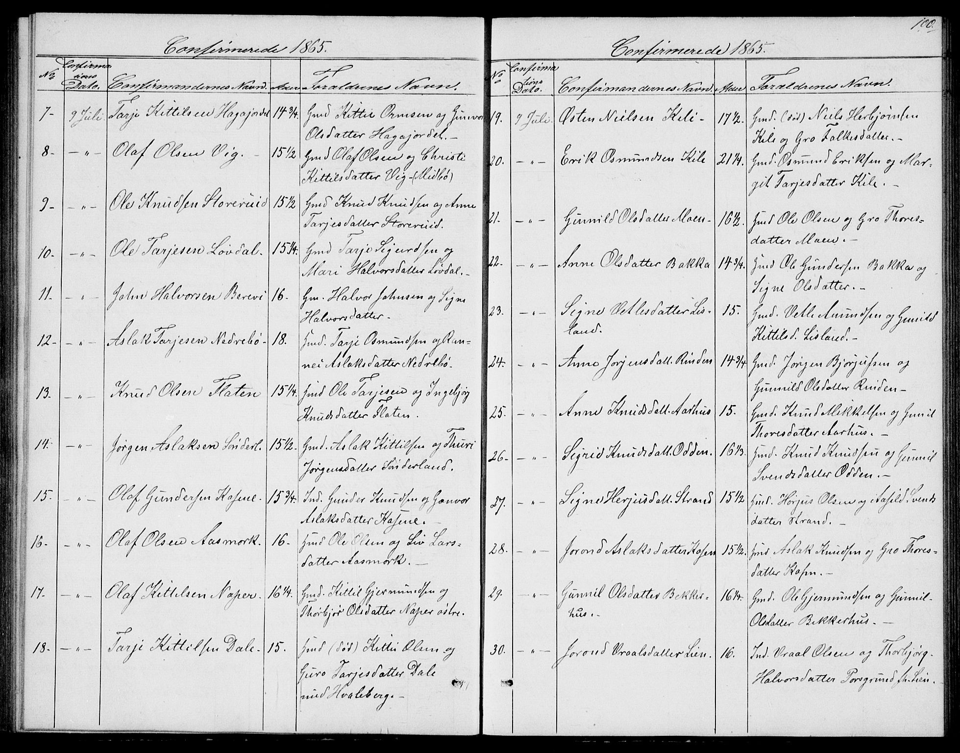 Fyresdal kirkebøker, SAKO/A-263/G/Ga/L0004: Parish register (copy) no. I 4, 1864-1892, p. 100