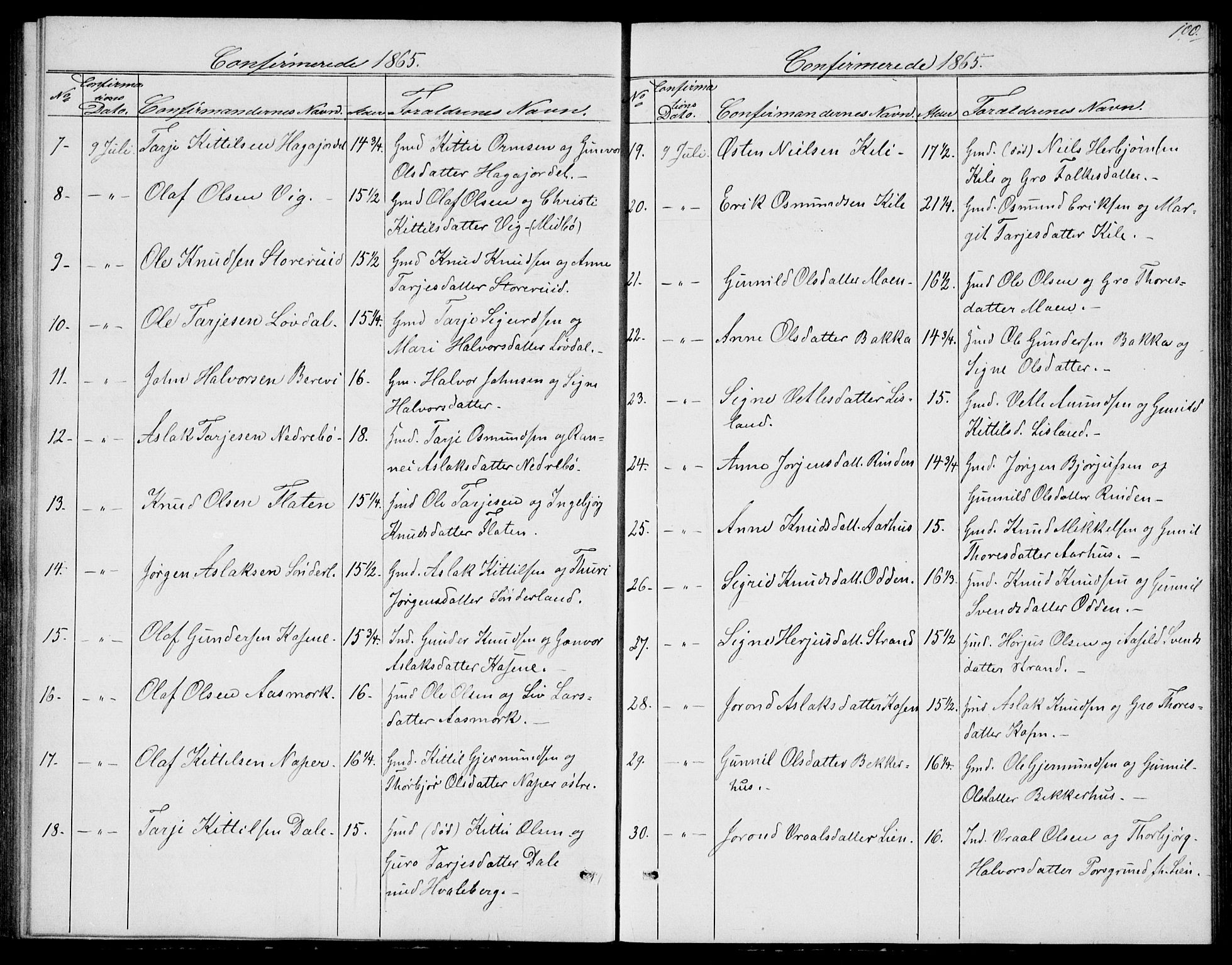 Fyresdal kirkebøker, AV/SAKO-A-263/G/Ga/L0004: Parish register (copy) no. I 4, 1864-1892, p. 100