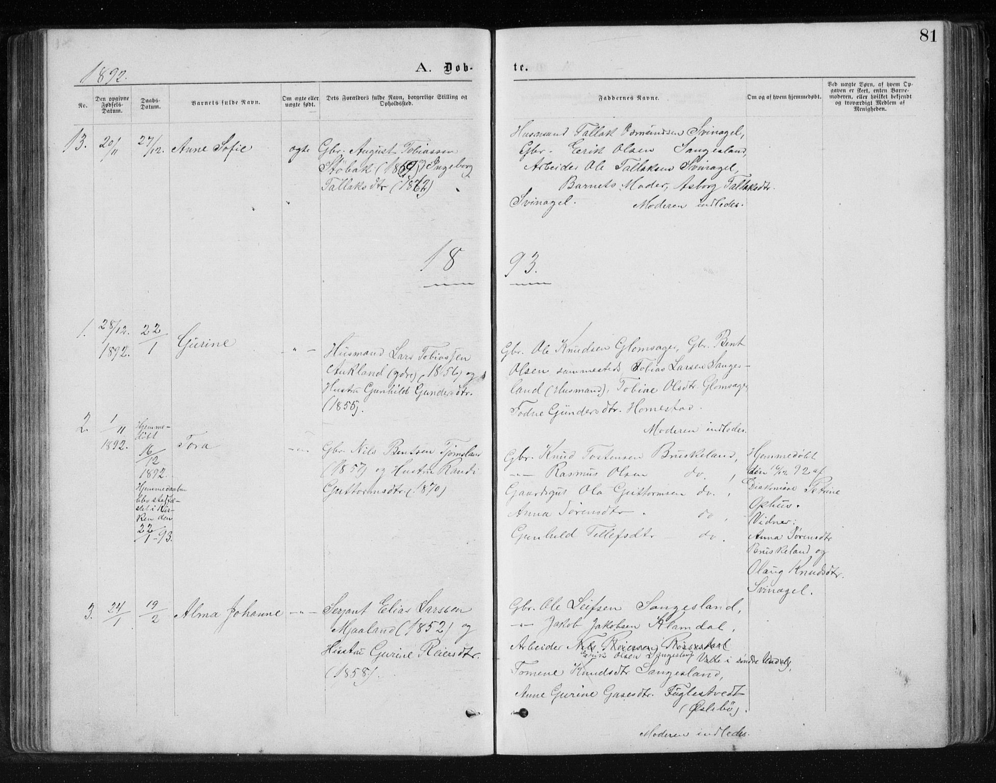 Holum sokneprestkontor, SAK/1111-0022/F/Fb/Fbb/L0003: Parish register (copy) no. B 3, 1875-1898, p. 81
