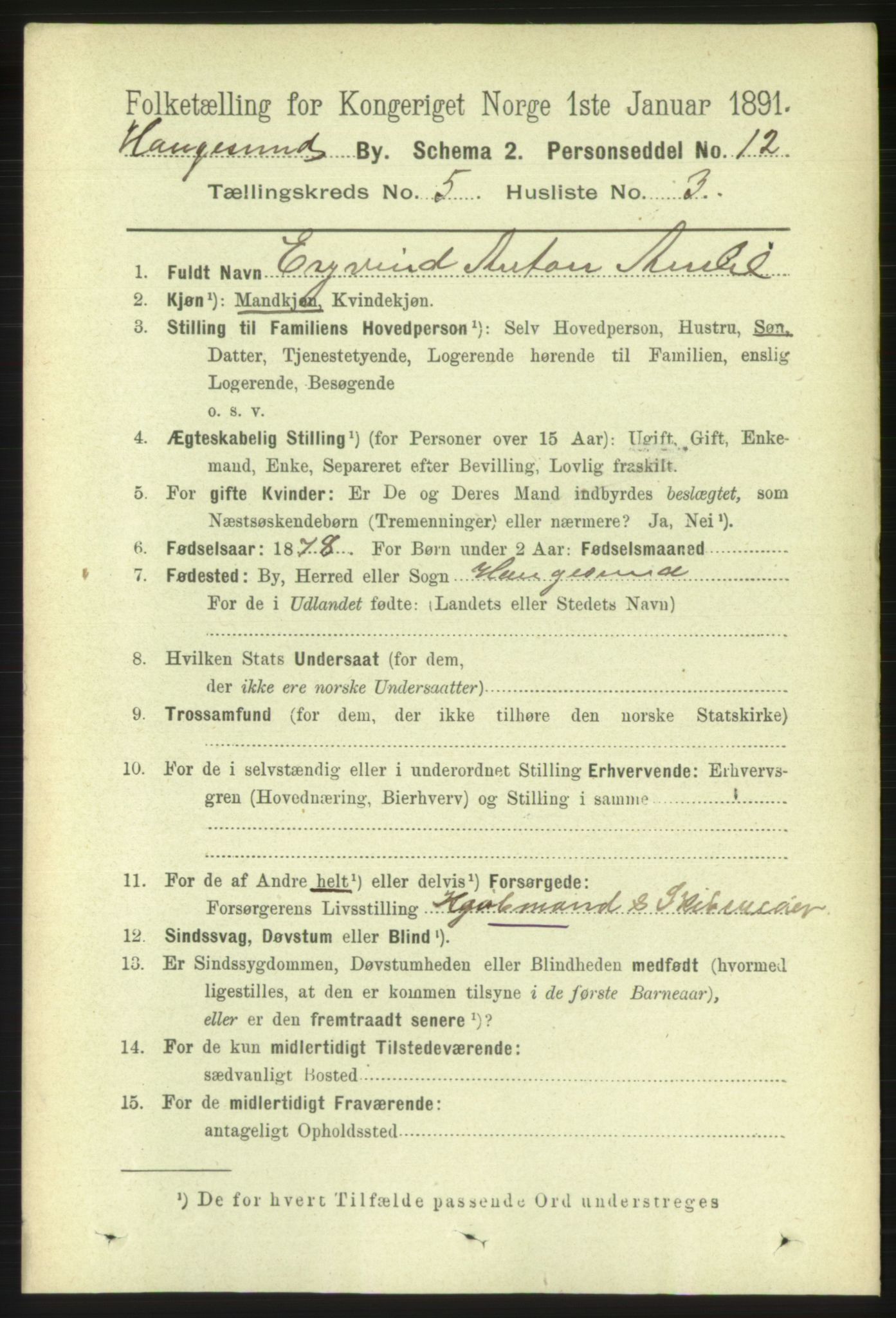 RA, 1891 census for 1106 Haugesund, 1891, p. 1964